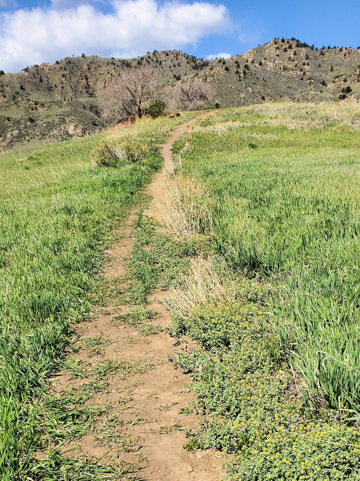 Colorado, Jefferson County, Golden, Schweich Hill