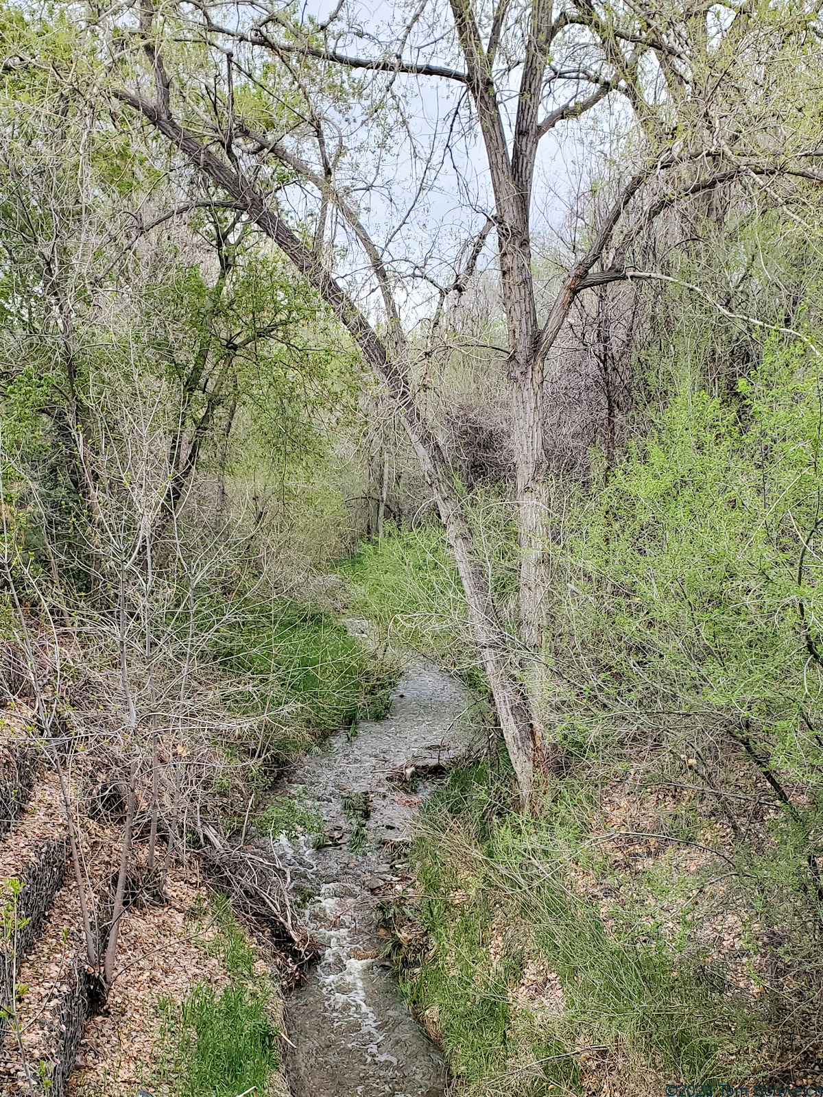 Colorado, Jefferson County, Golden, Tucker Gulch