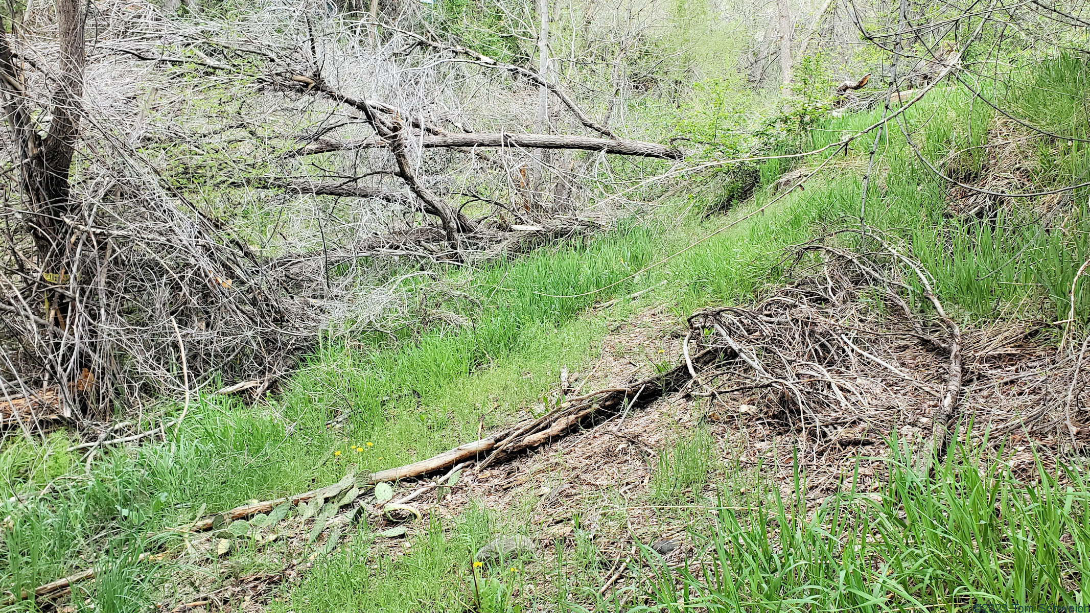 Colorado, Jefferson County, Golden, Tucker Gulch