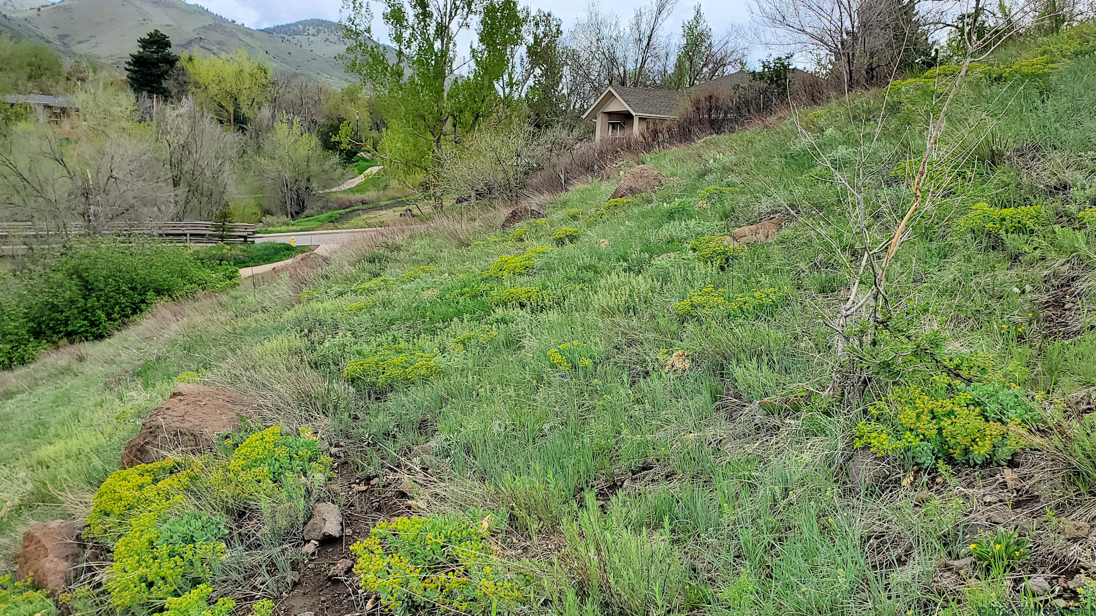 Colorado, Jefferson County, Golden, Tucker Gulch