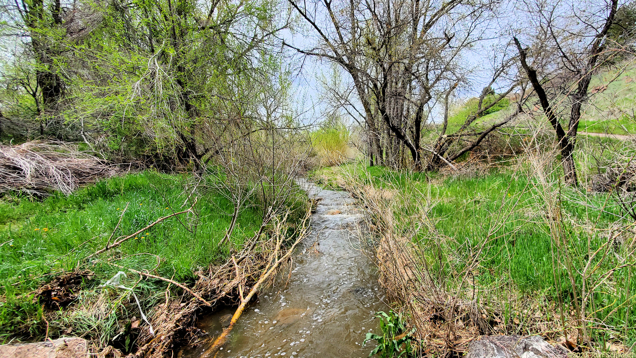 Colorado, Jefferson County, Golden, Tucker Gulch