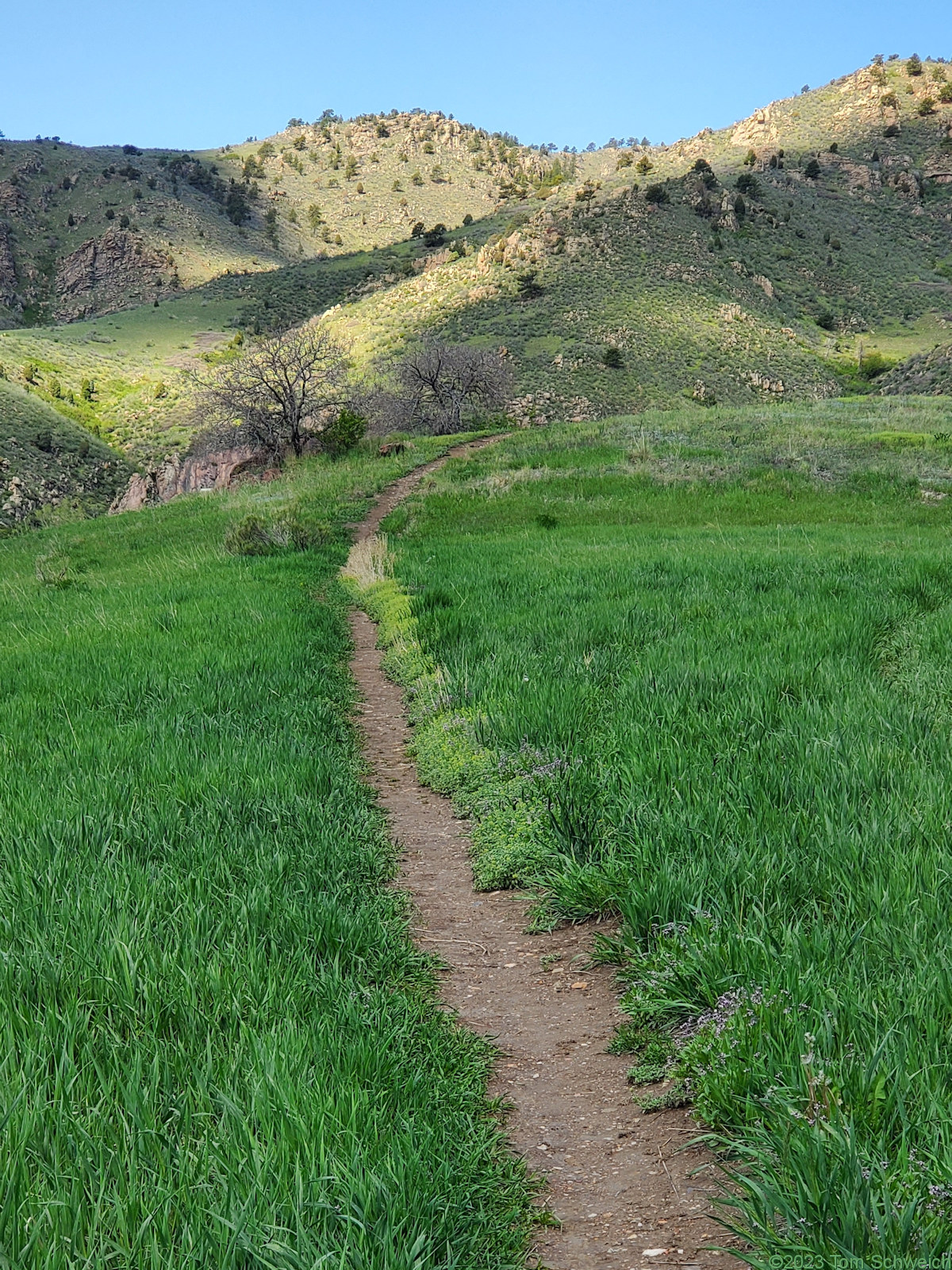 Colorado, Jefferson County, Golden, Schweich Hill