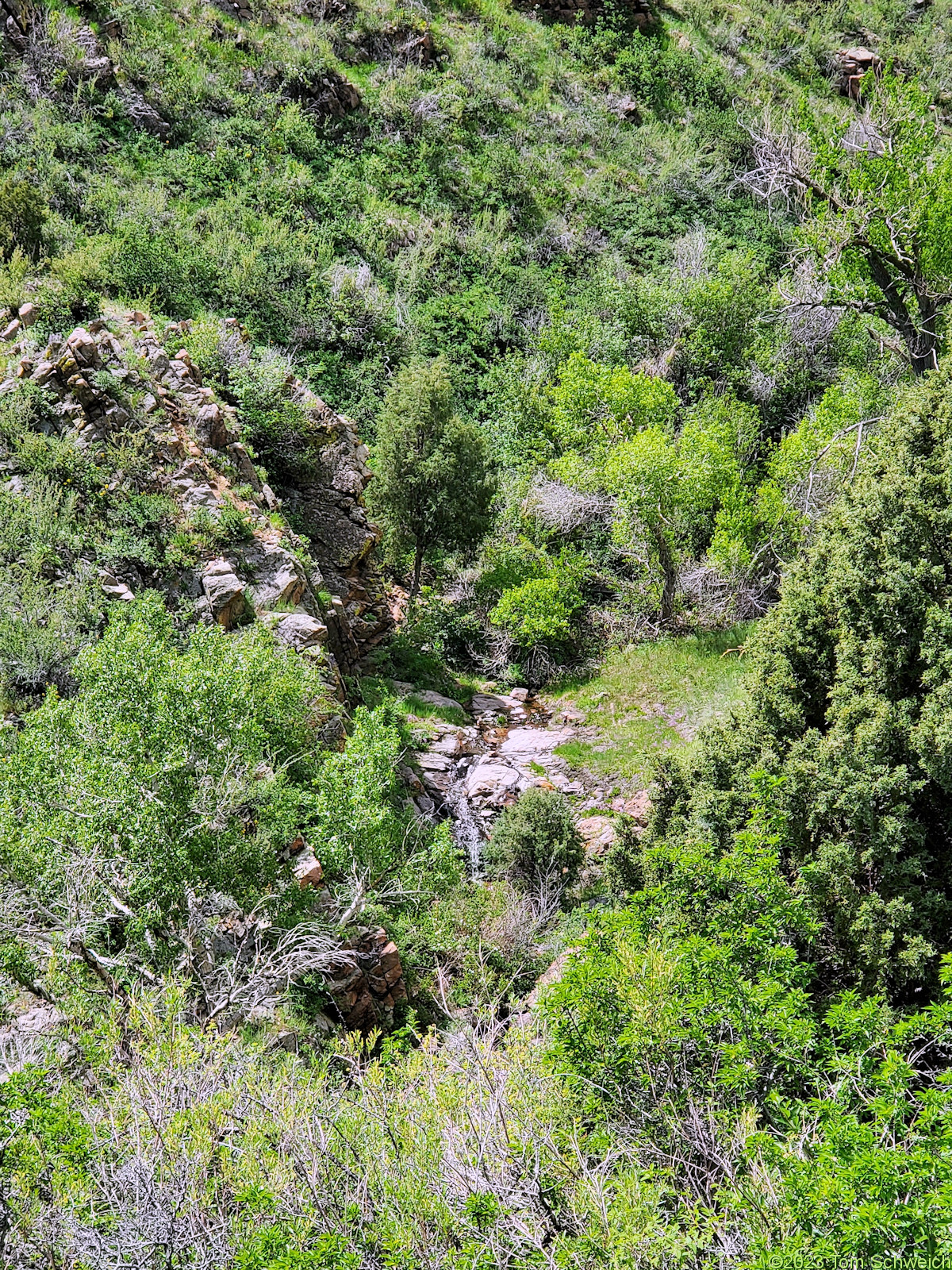 Colorado, Jefferson County, Golden, Magpie Gulch