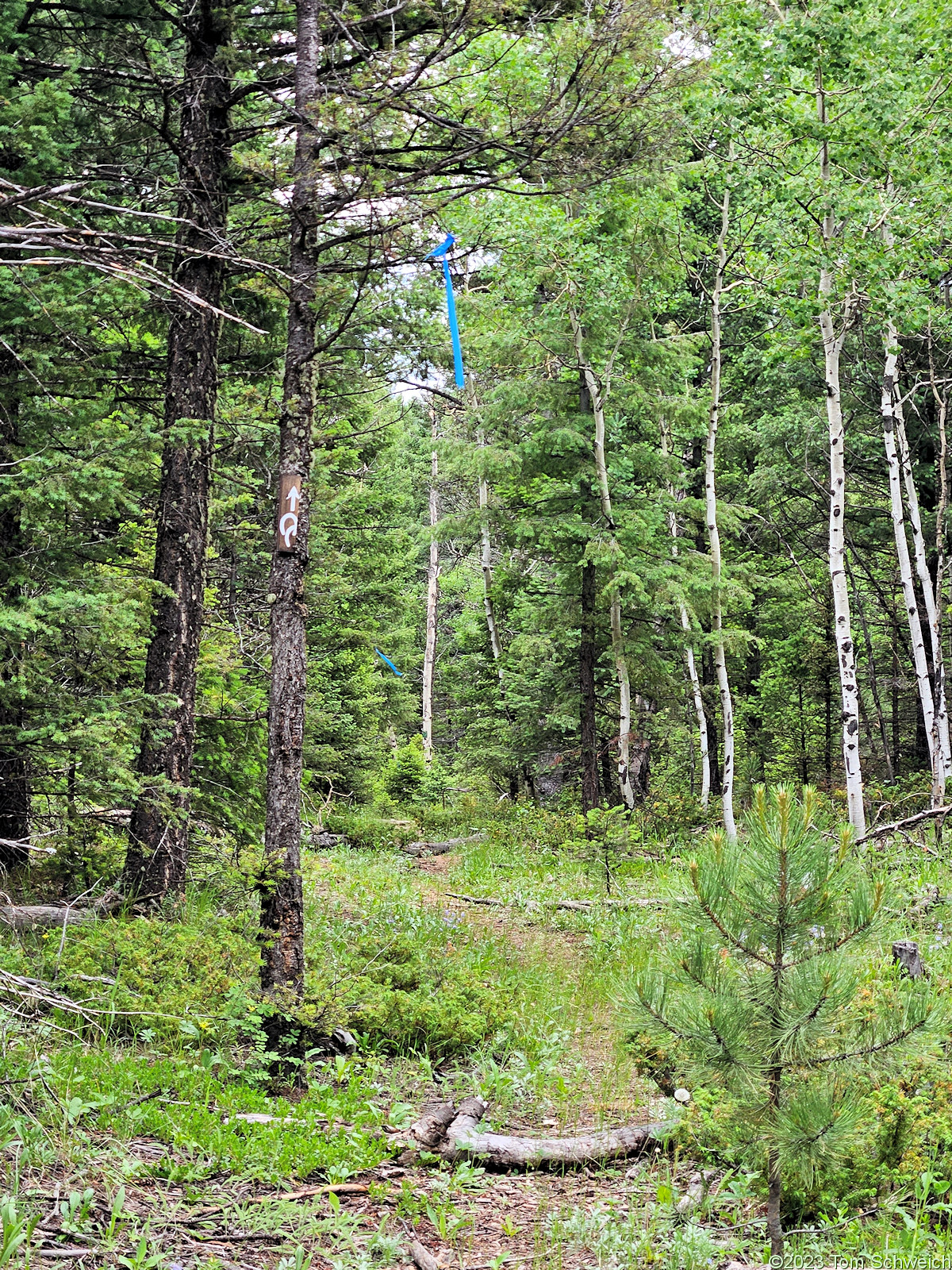 Colorado, Jefferson County, Buffalo Creek Recreation Area