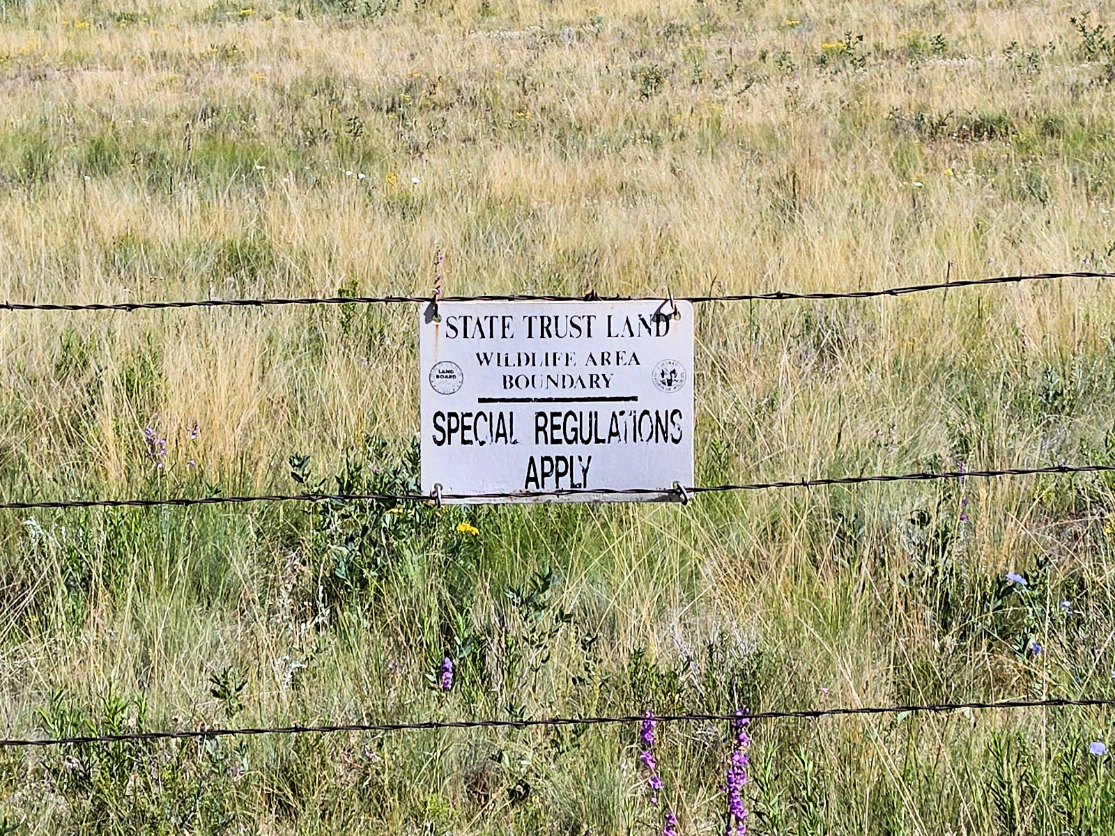 Colorado, Park County, Salt Creek