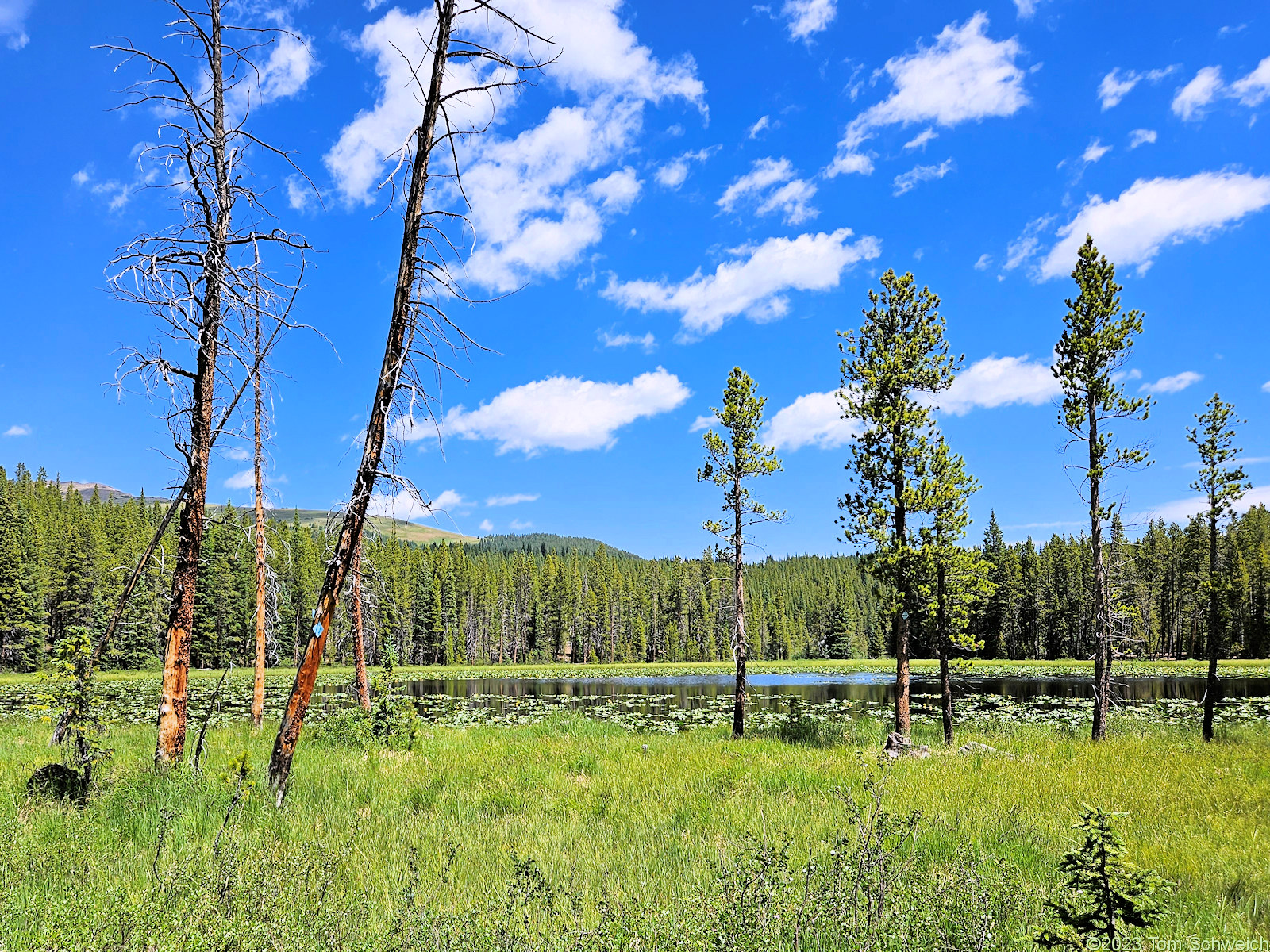 Colorado, Lake County, Lily Lake