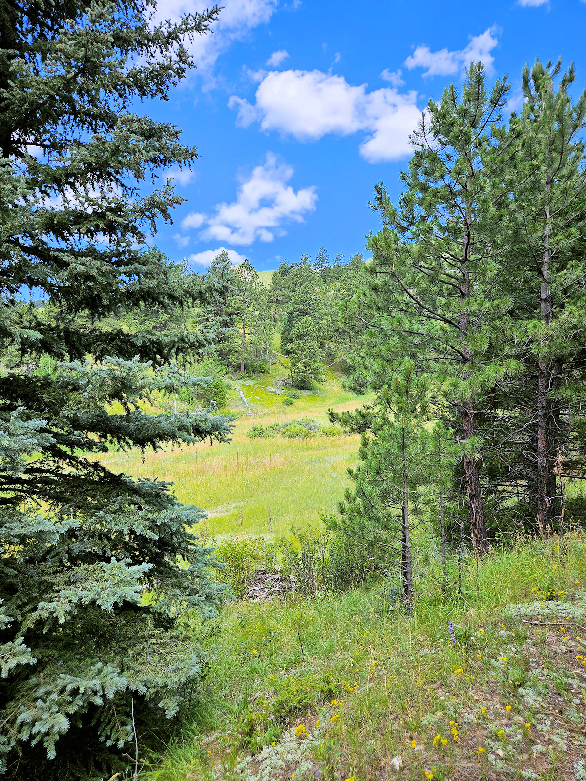 Colorado, Jefferson County, Douglas Mountain Study Area