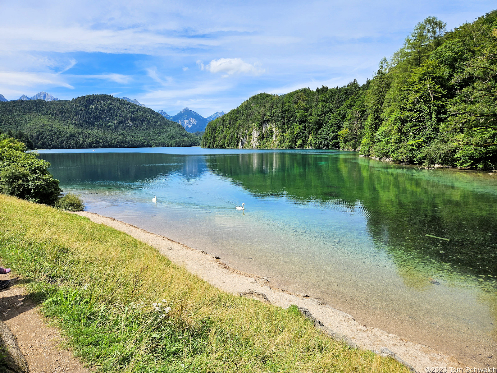 Germany, Bavaria, Neuschwanstein Castle, Alpsee