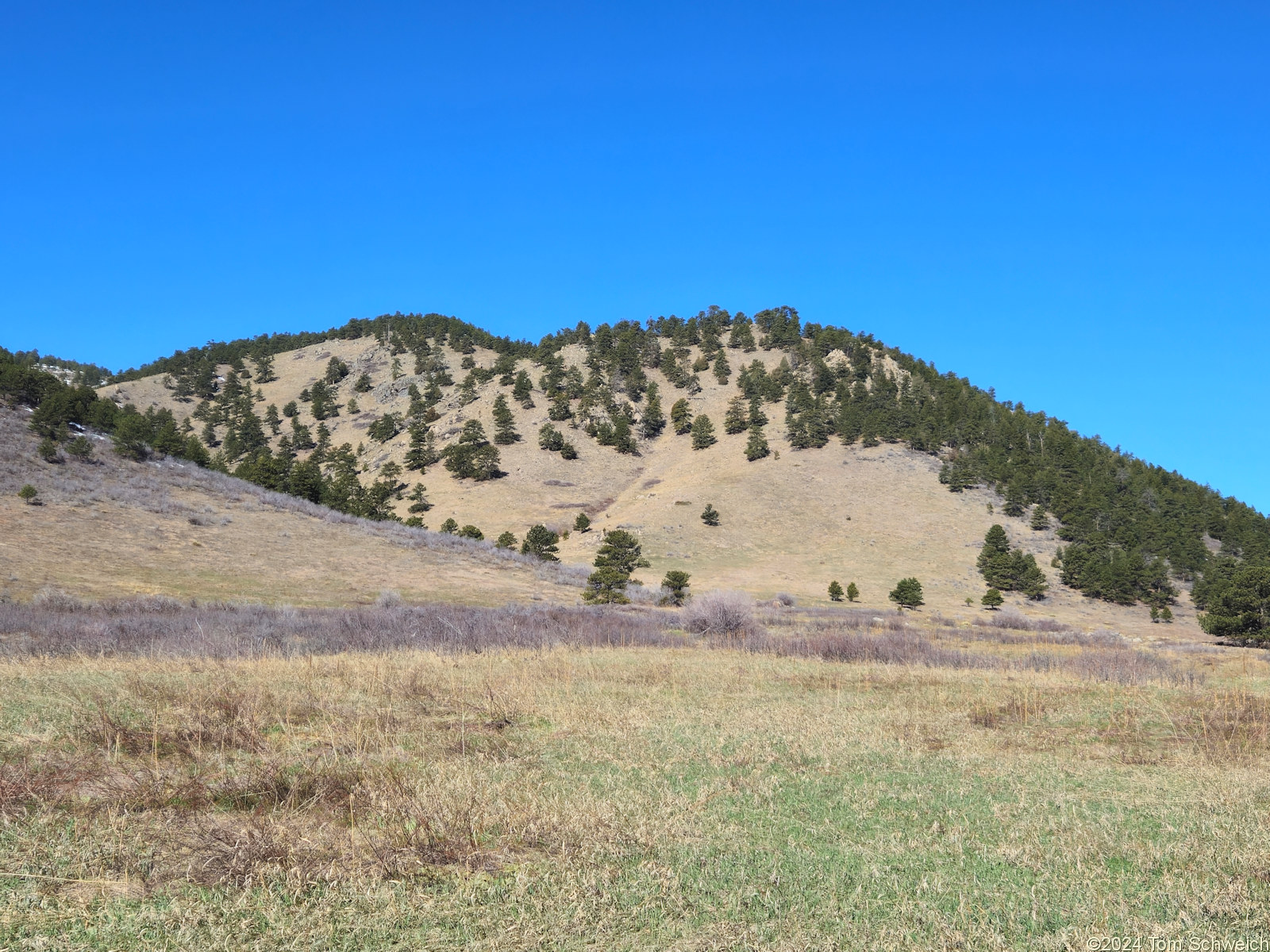 Colorado, Jefferson County, Coal Creek Canyon