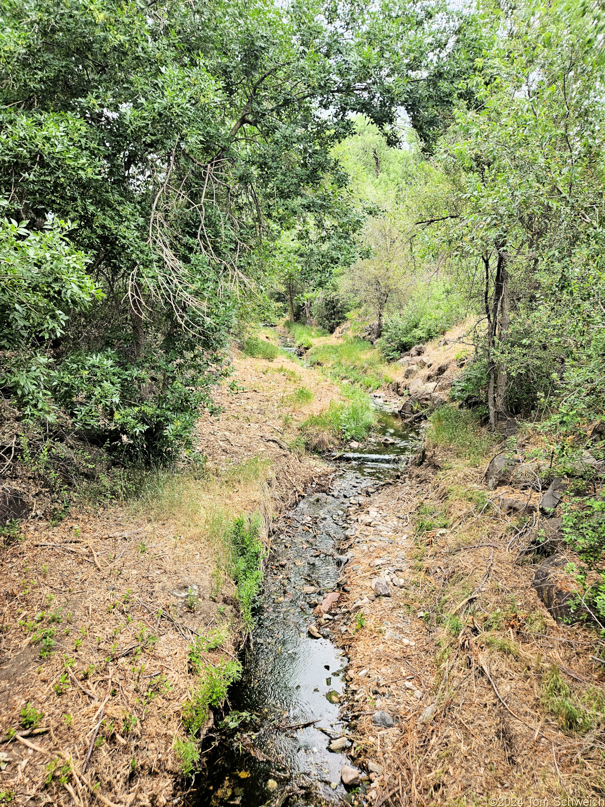 Colorado, Jefferson County, Golden, Tucker Gulch