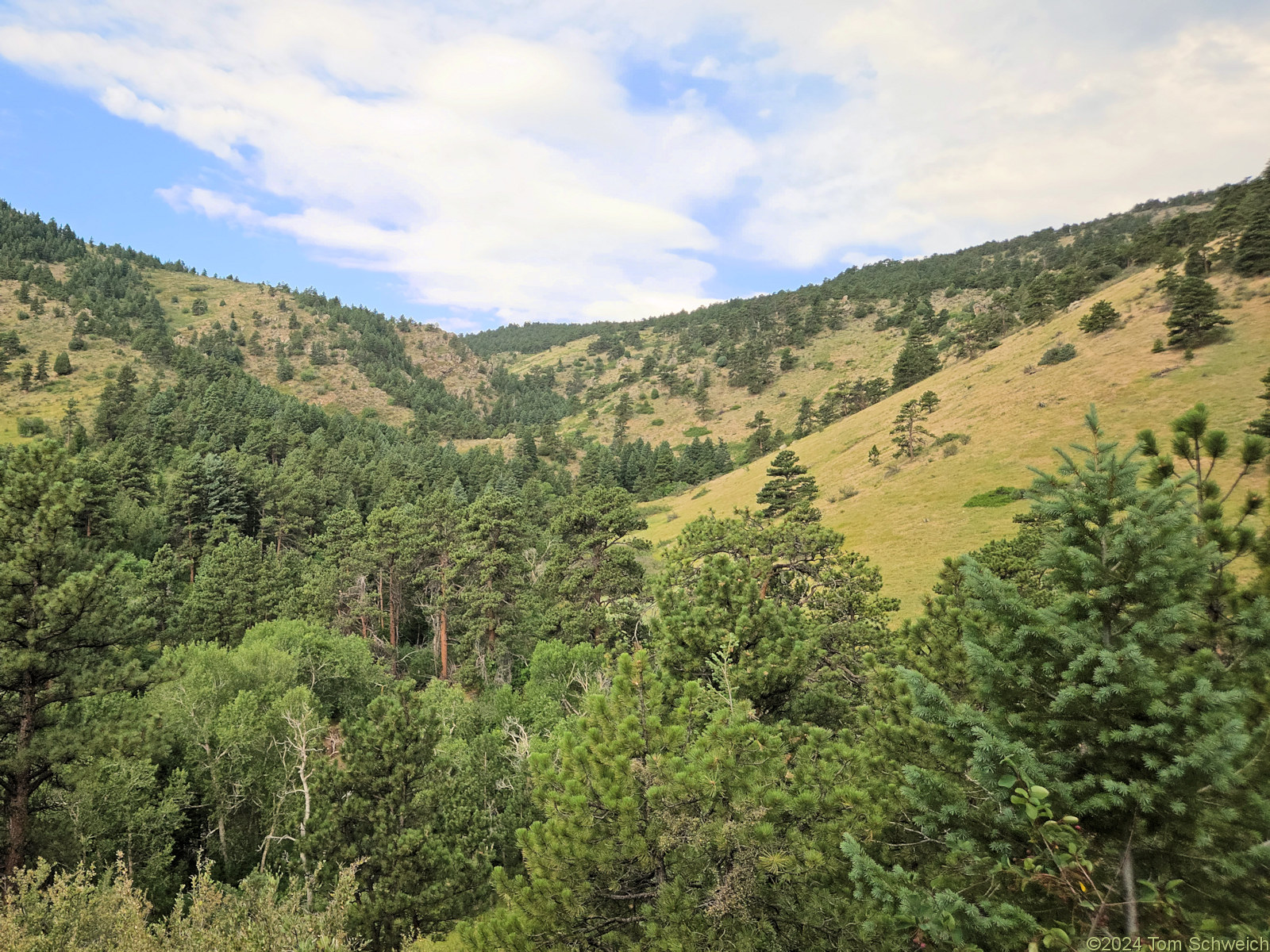 Colorado, Jefferson County, Coal Creek Canyon Study Area