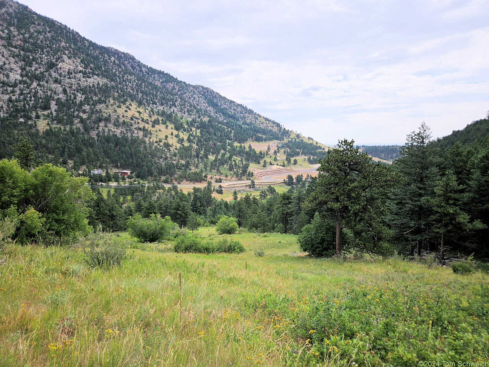 Colorado, Jefferson County, Coal Creek Canyon Study Area