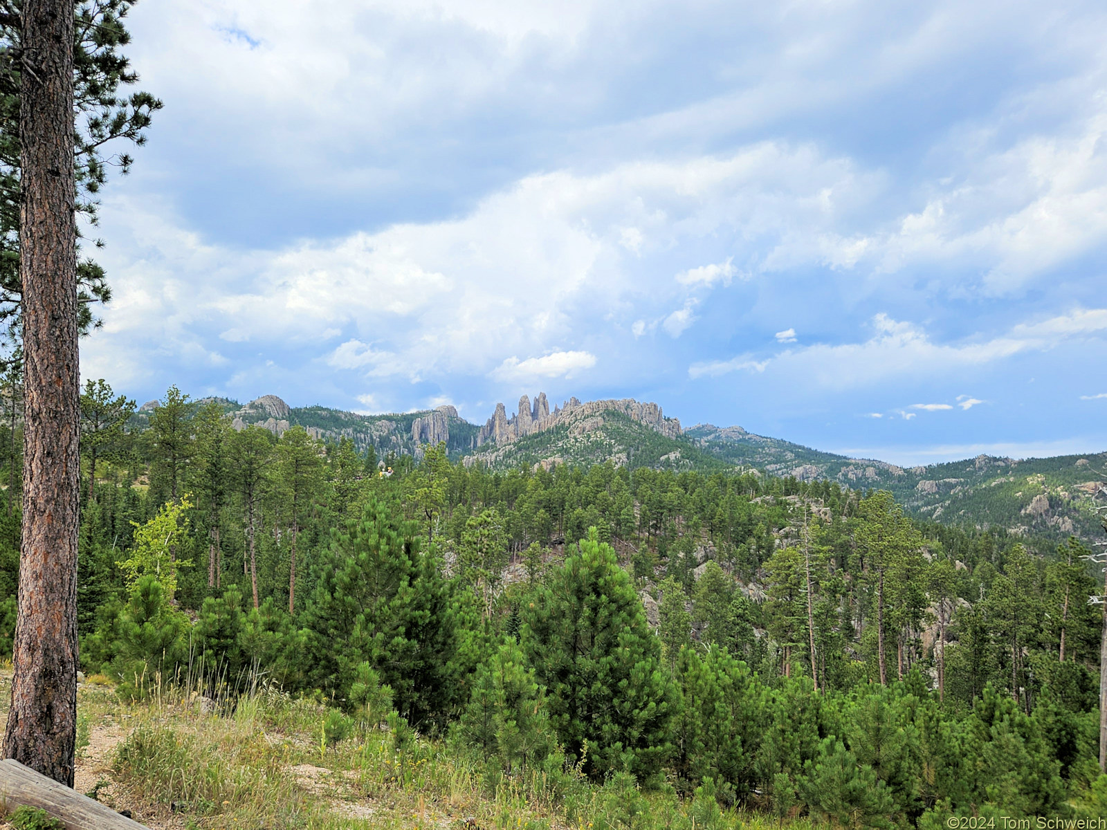 South Dakota, Custer County, The Needles