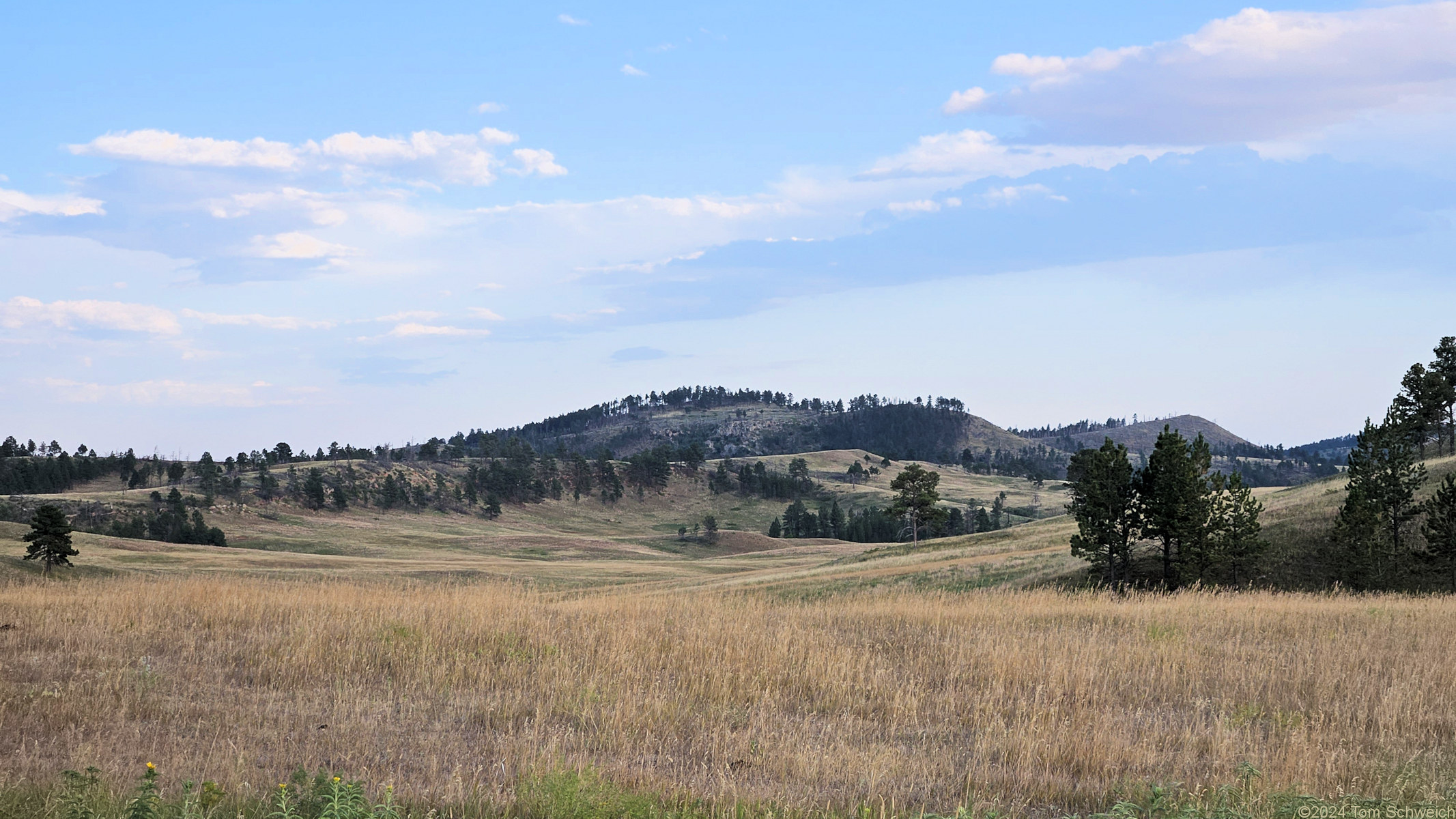 South Dakota, Lawrence County, Custer State Park