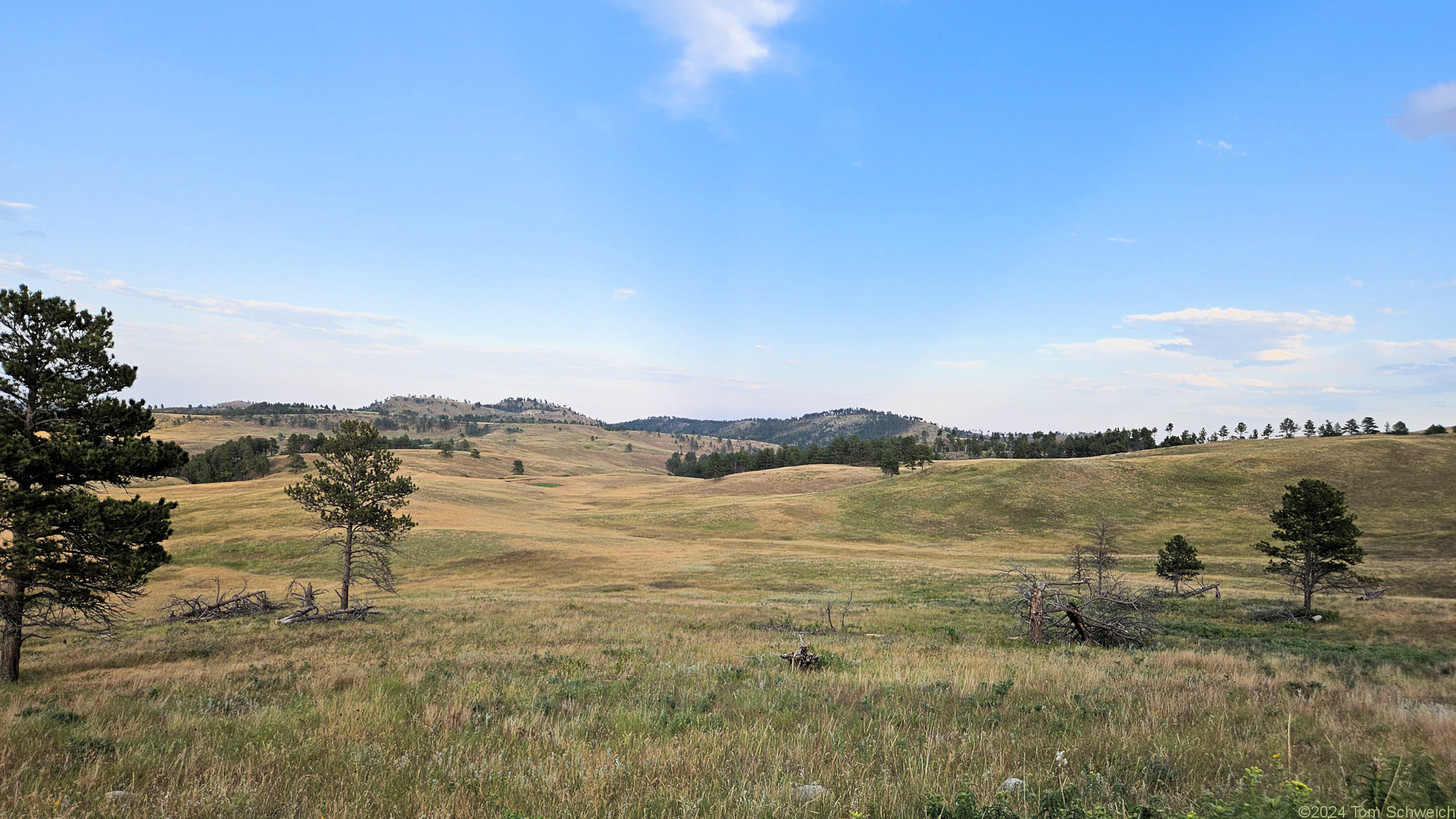 South Dakota, Lawrence County, Custer State Park