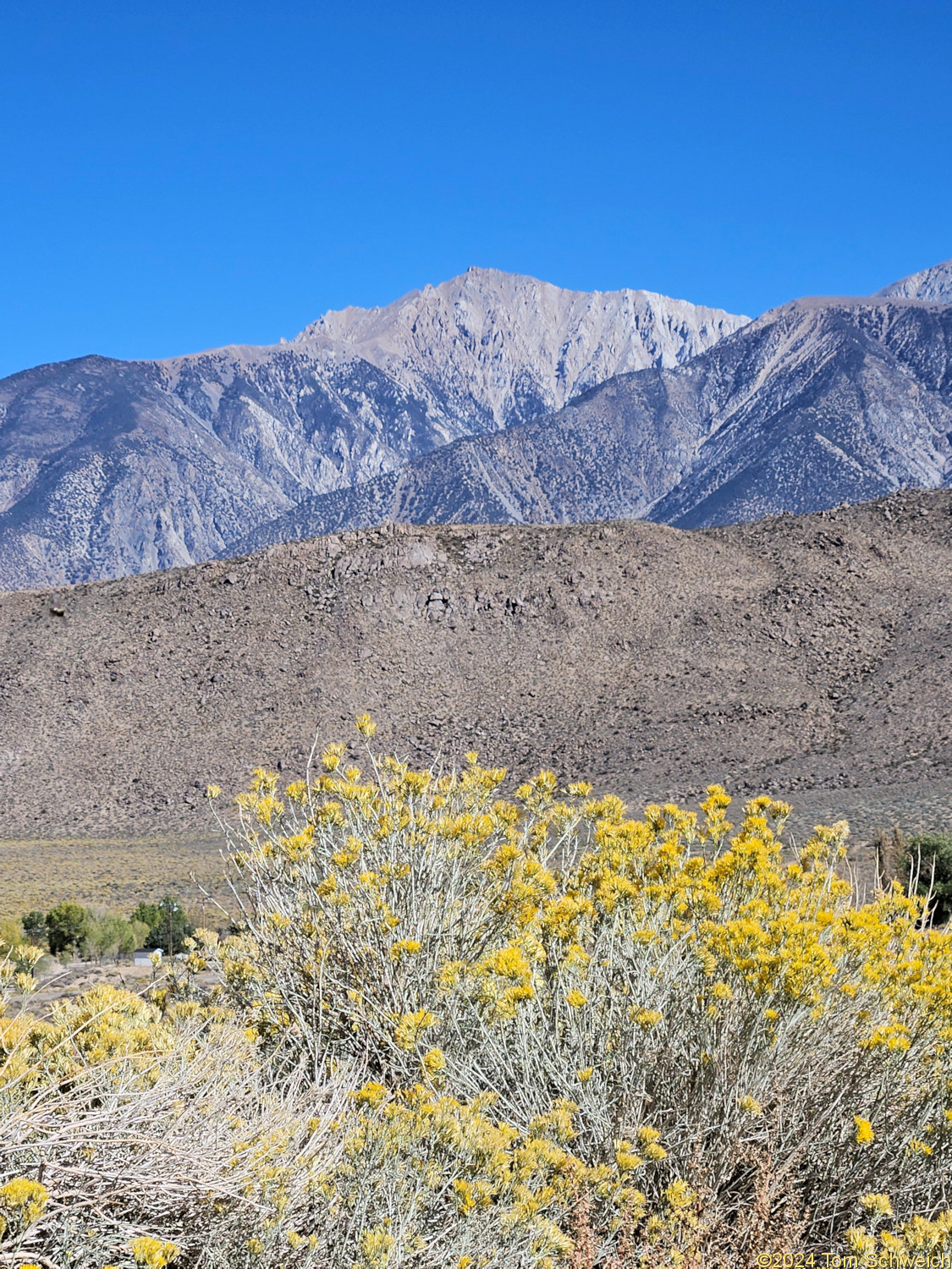 California, Mono County, Boundary Peak