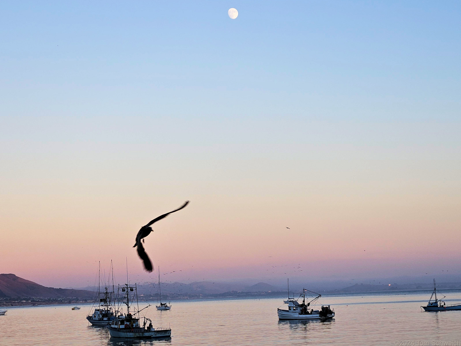 California, San Luis Obispo County, Port San Luis