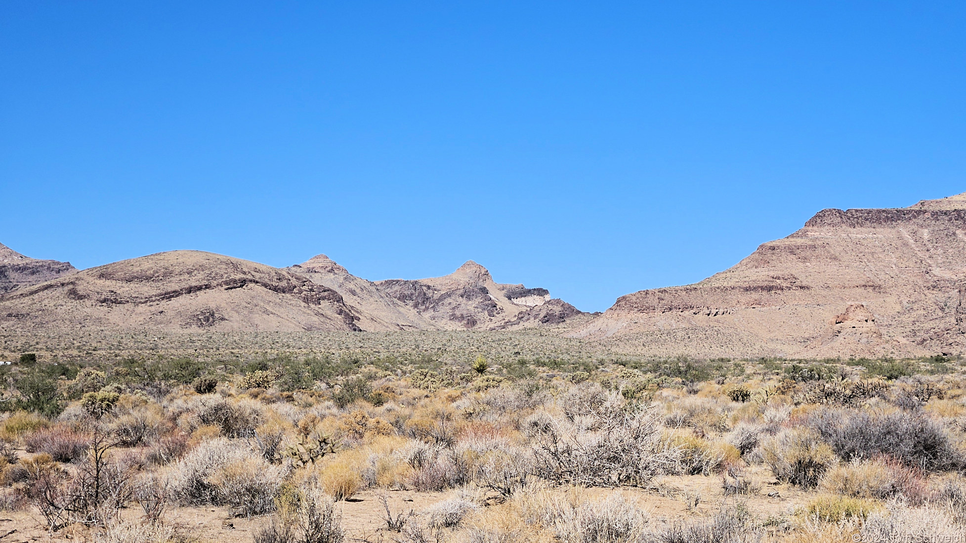 California, San Bernardino County, Lobo Point