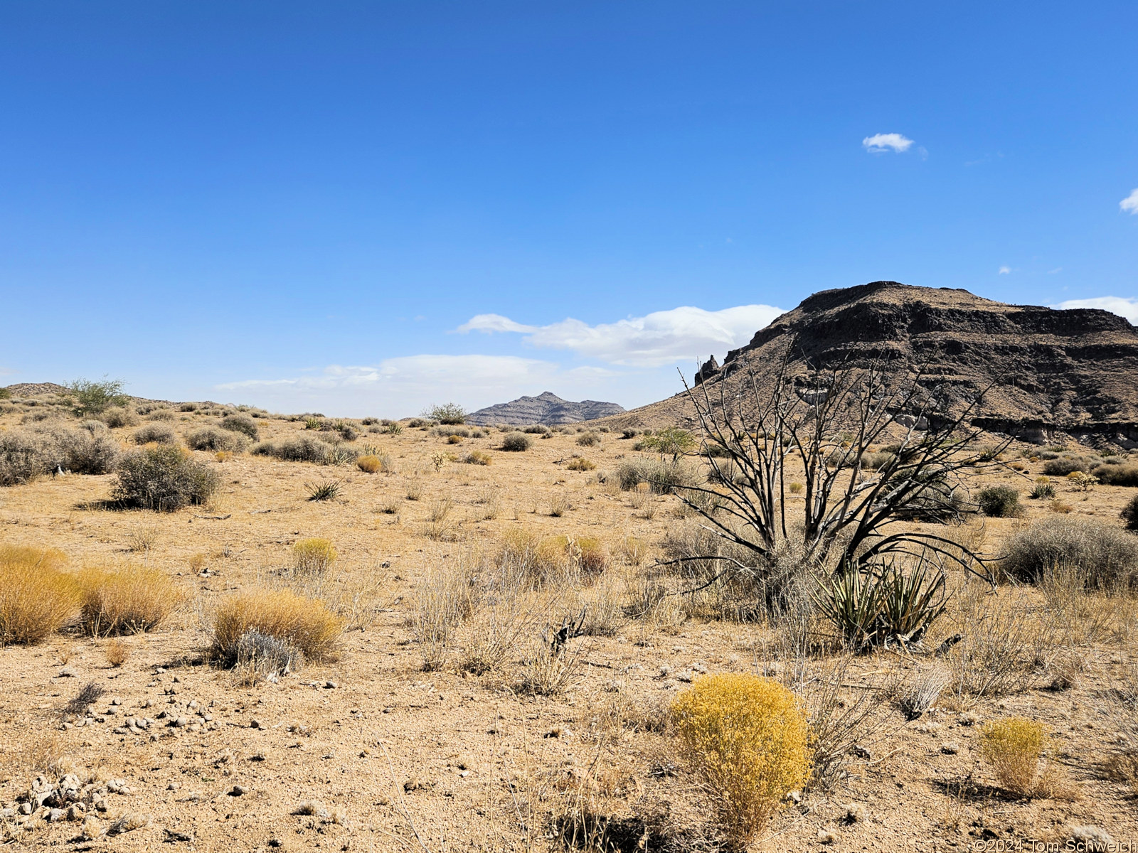 California, San Bernardino County, Lobo Point