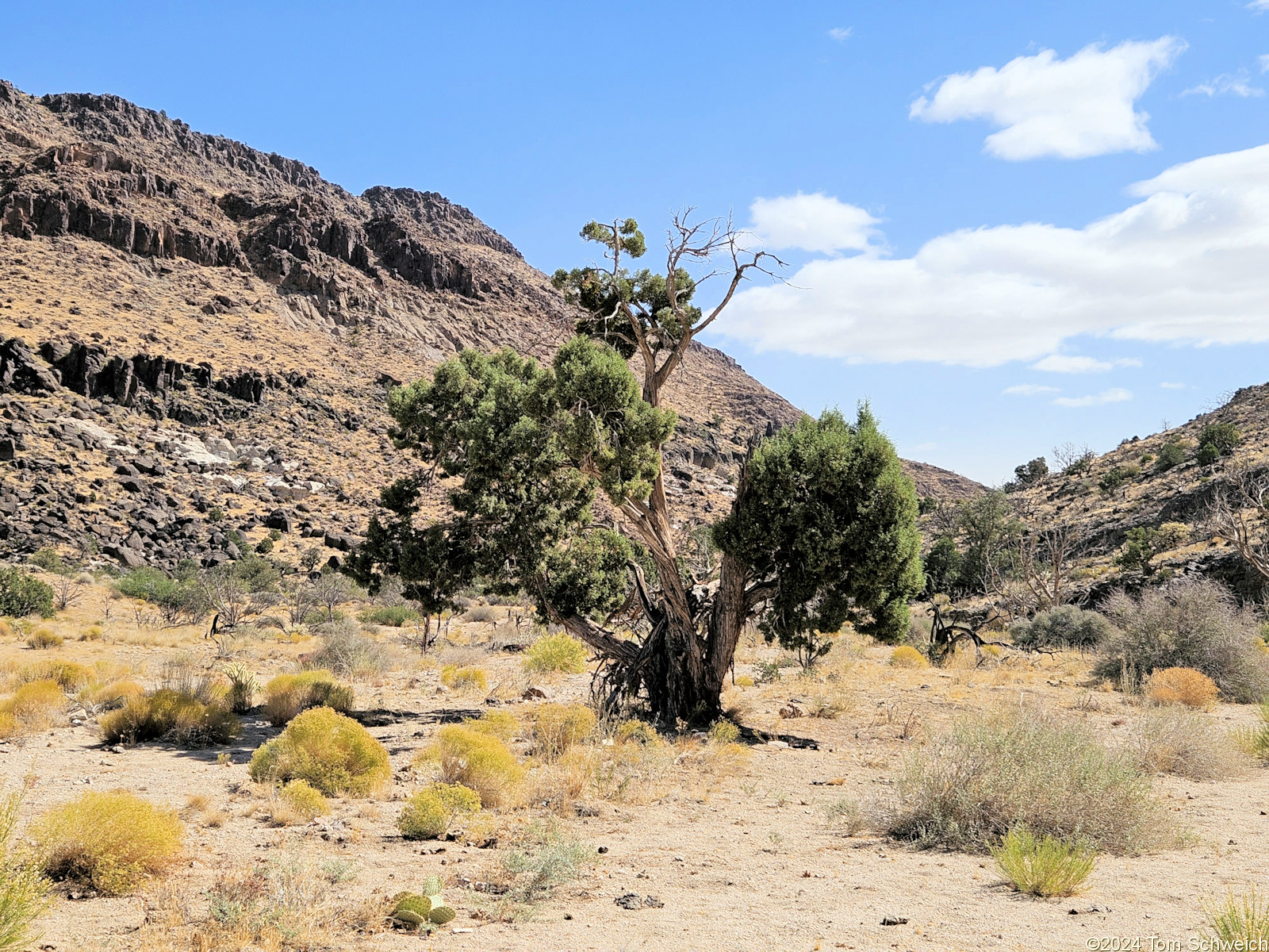 California, San Bernardino County, Lobo Point