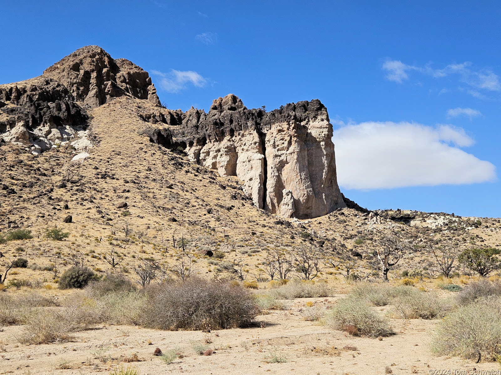 California, San Bernardino County, Lobo Point