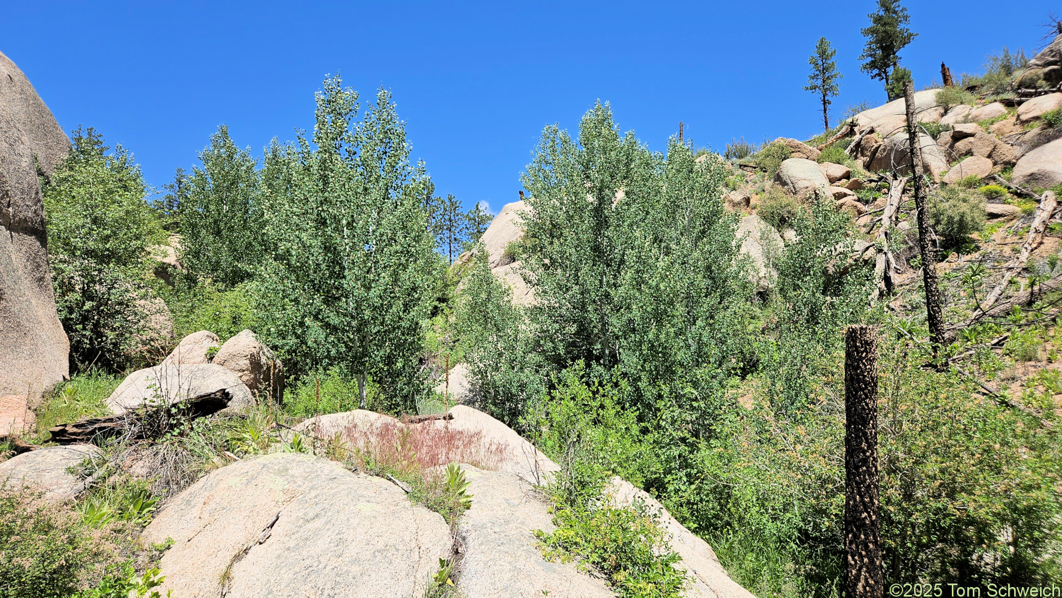 Colorado, Jefferson County, Twin Creek