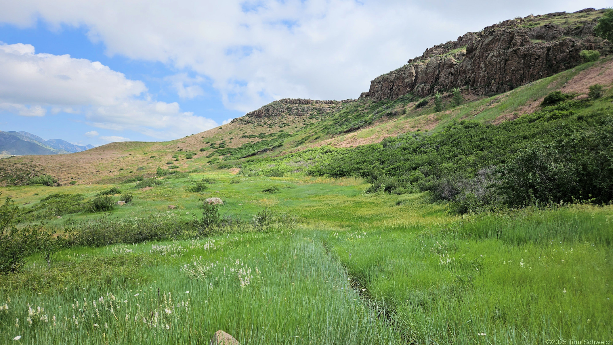 Colorado, Jefferson County, Golden, North Table Mountain Open Space