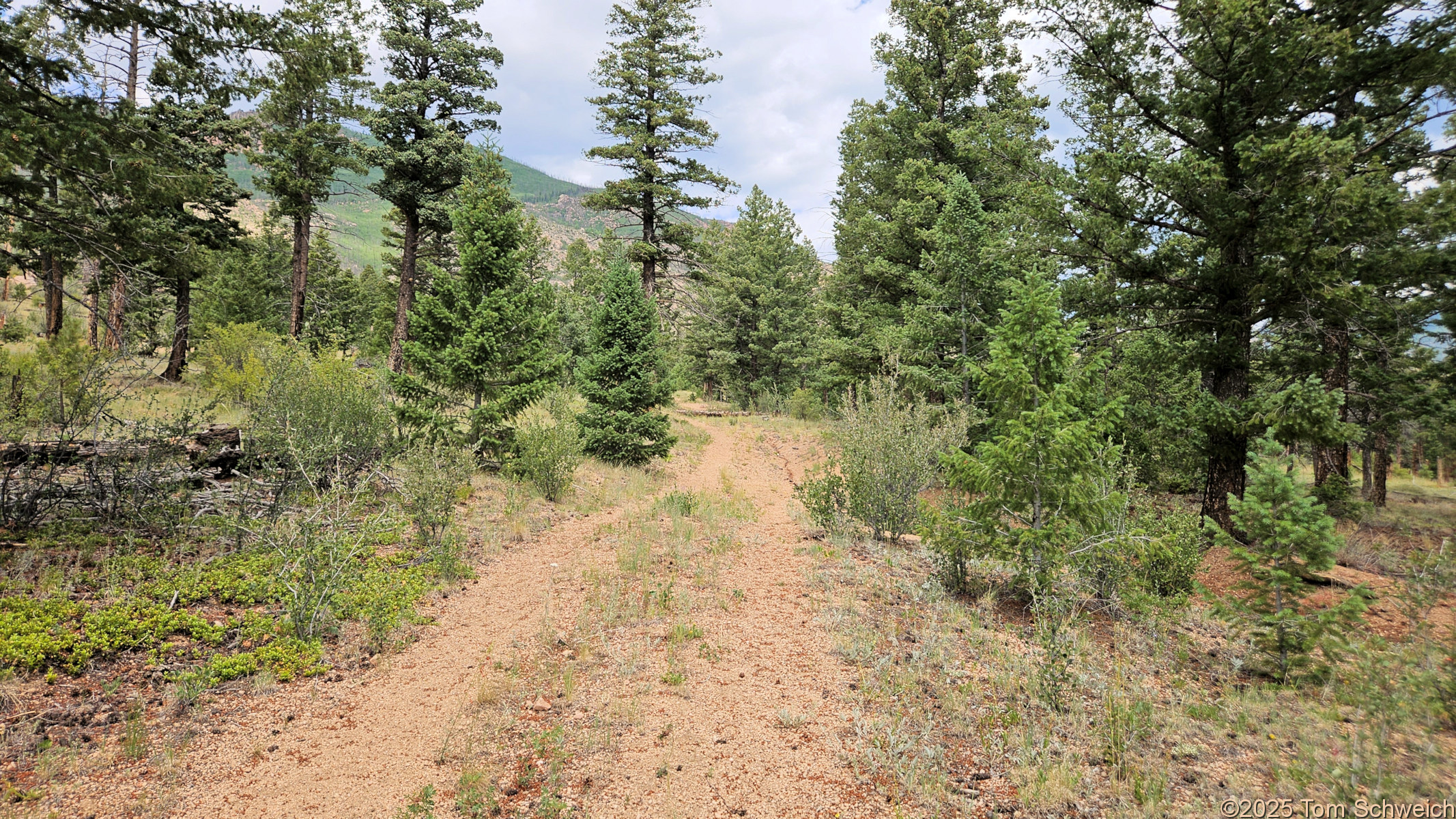 Colorado, Jefferson County, North Twin Creek