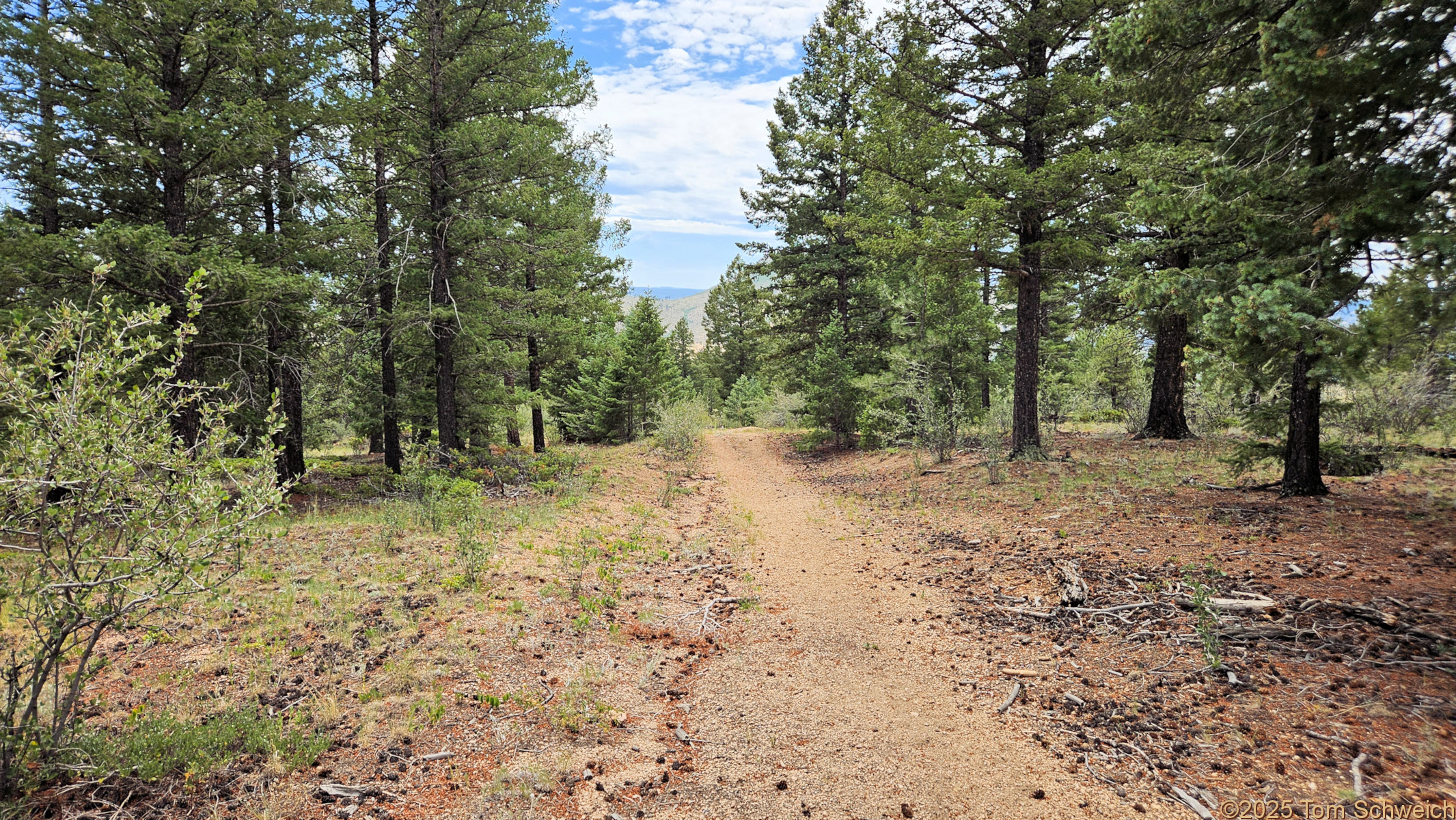 Colorado, Jefferson County, North Twin Creek