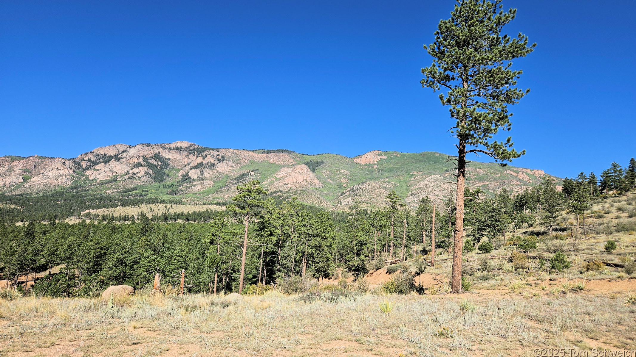 Colorado, Jefferson County, Tarryall Mountains, east slope
