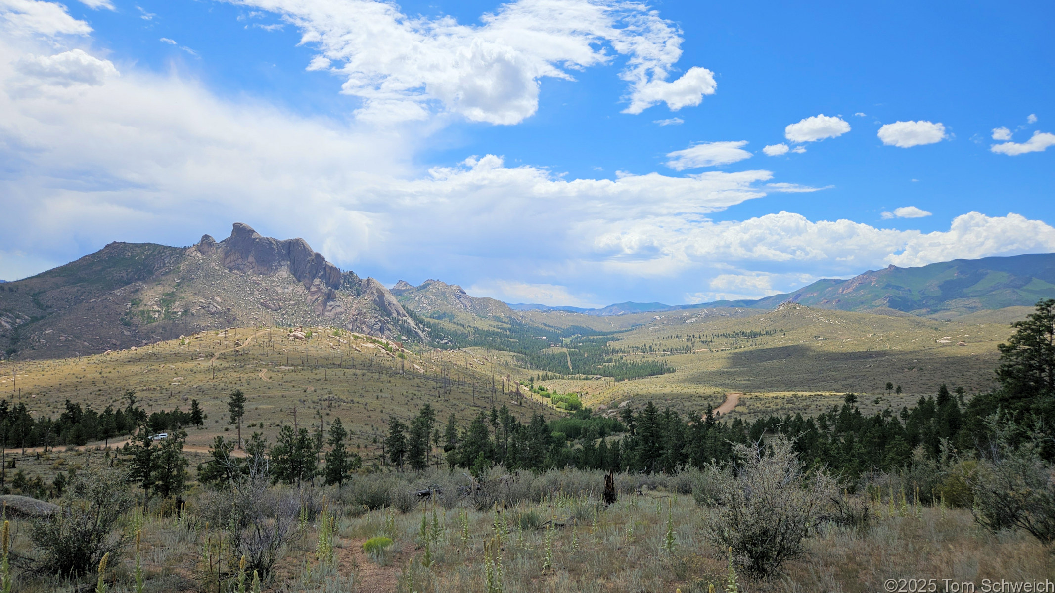 Colorado, Jefferson County, Tarryall Mountains, east slope