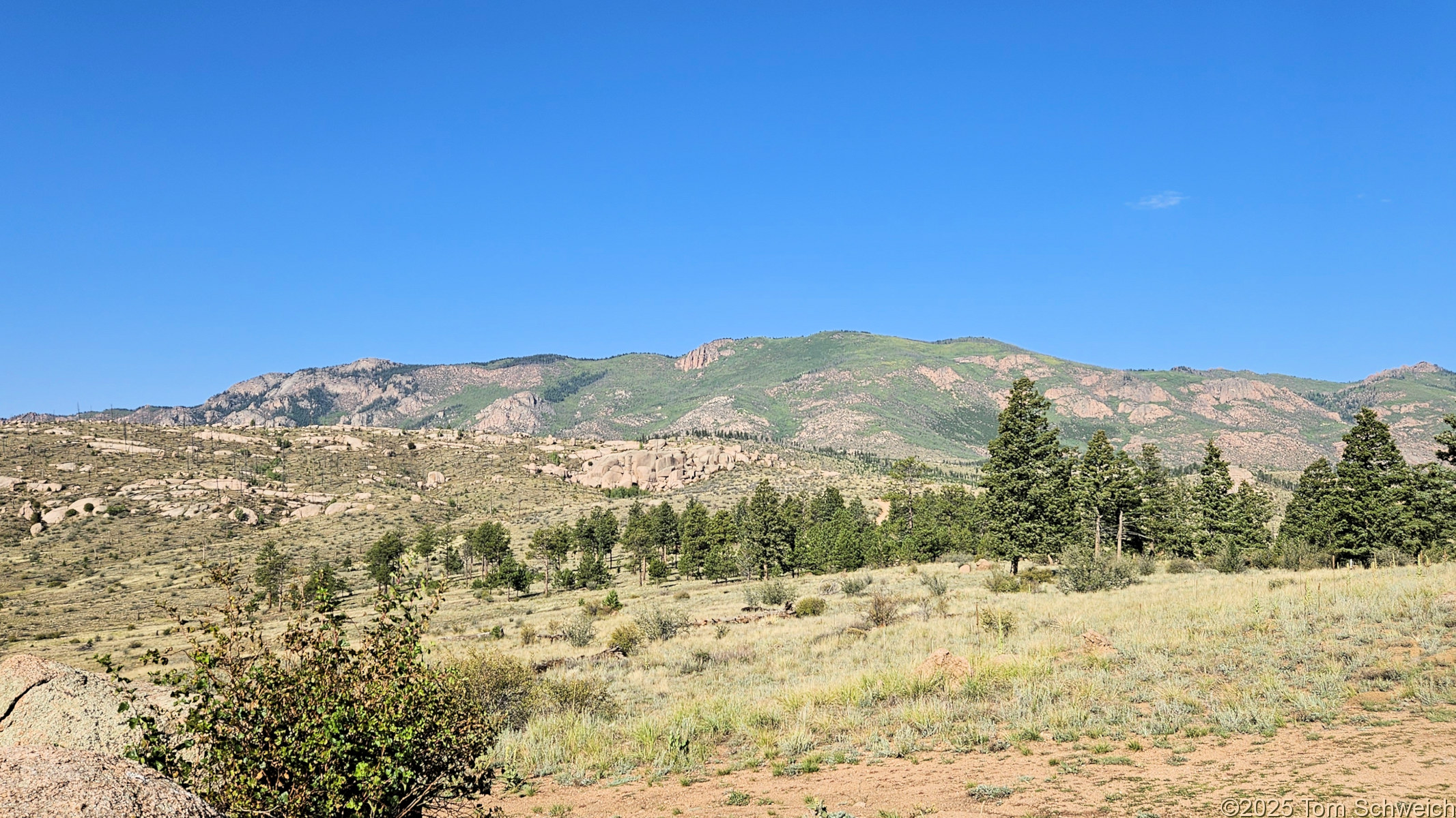 Colorado, Jefferson County, Tarryall Mountains, east slope, Twin Creek