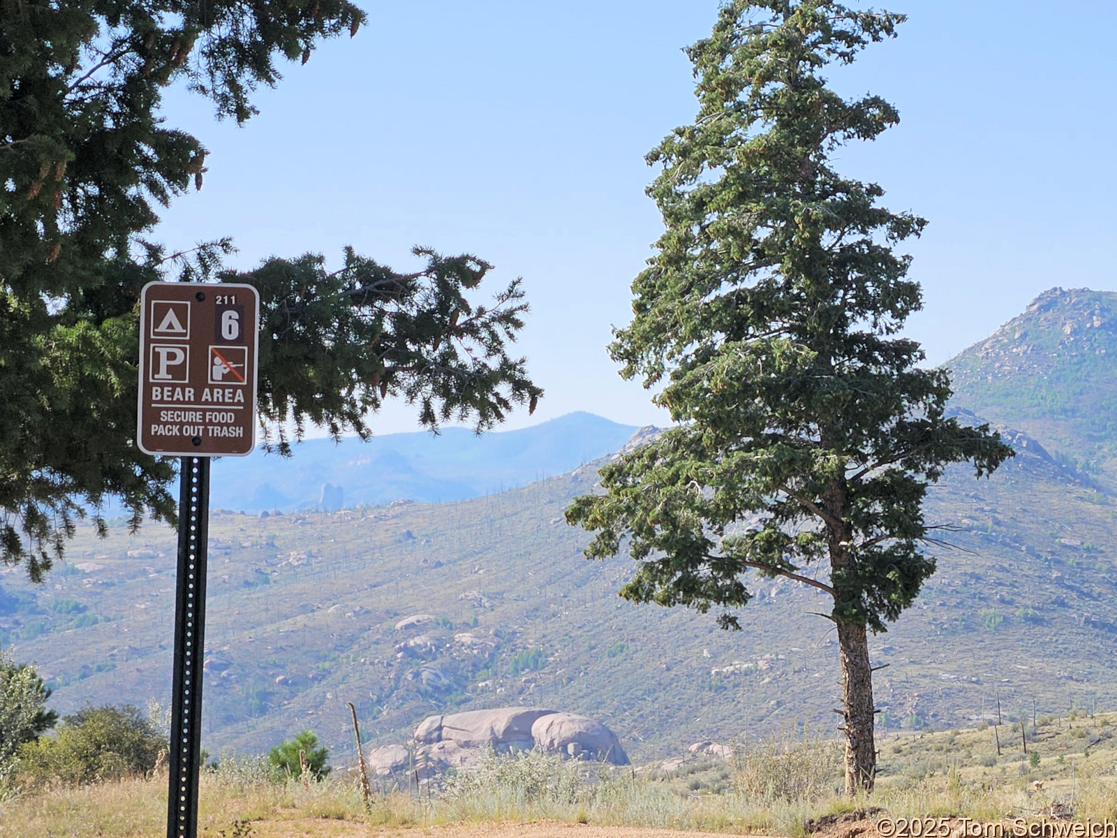 Colorado, Jefferson County, Tarryall Mountains, east slope, FR 211 CS 6