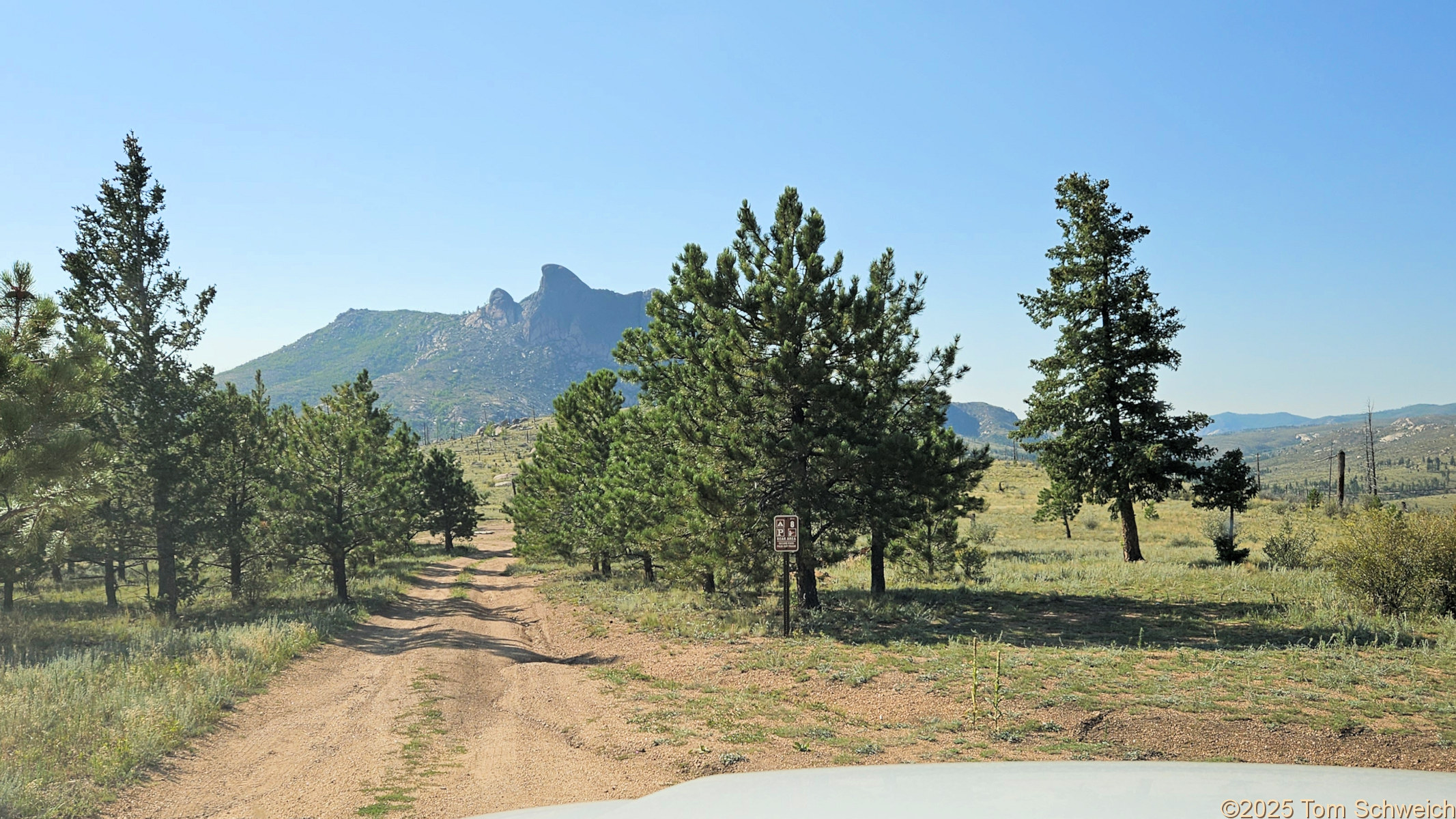 Colorado, Jefferson County, Tarryall Mountains, east slope, FR 211 CS 8