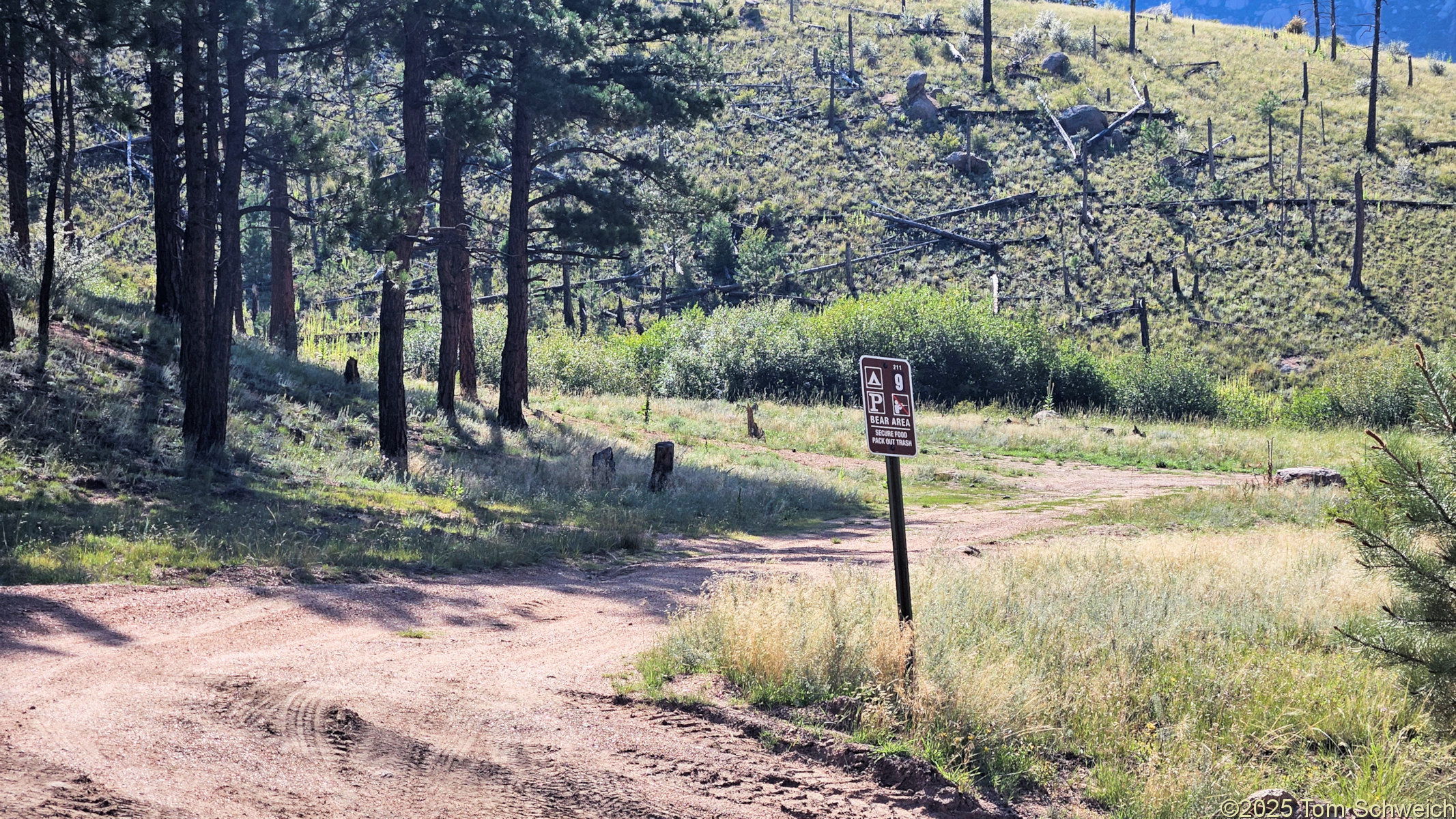 Colorado, Jefferson County, Tarryall Mountains, east slope, Twin Creek