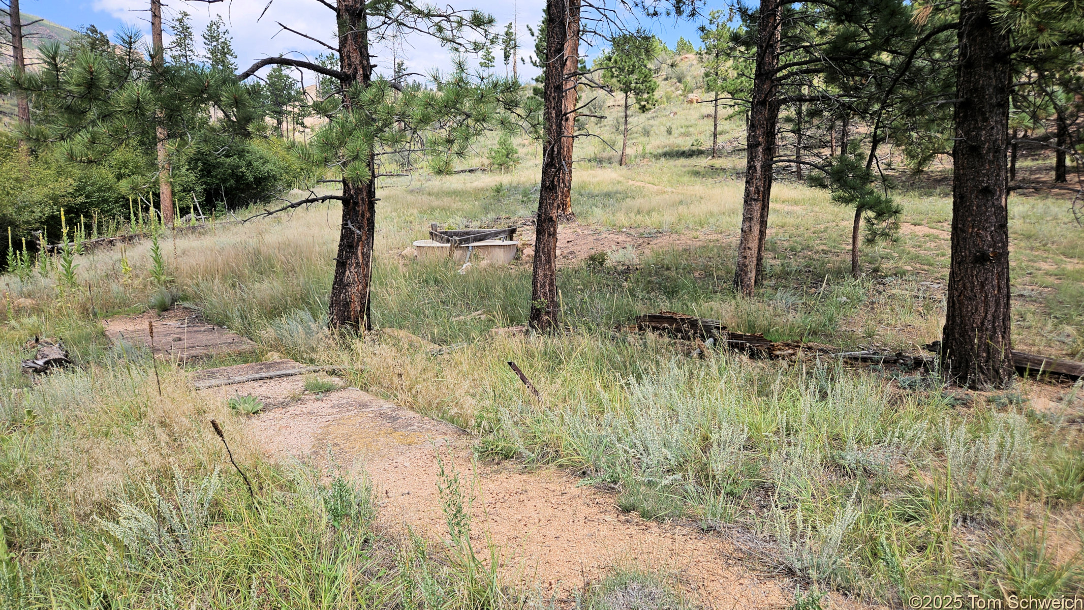 Colorado, Jefferson County, Tarryall Mountains, east slope, Twin Creek