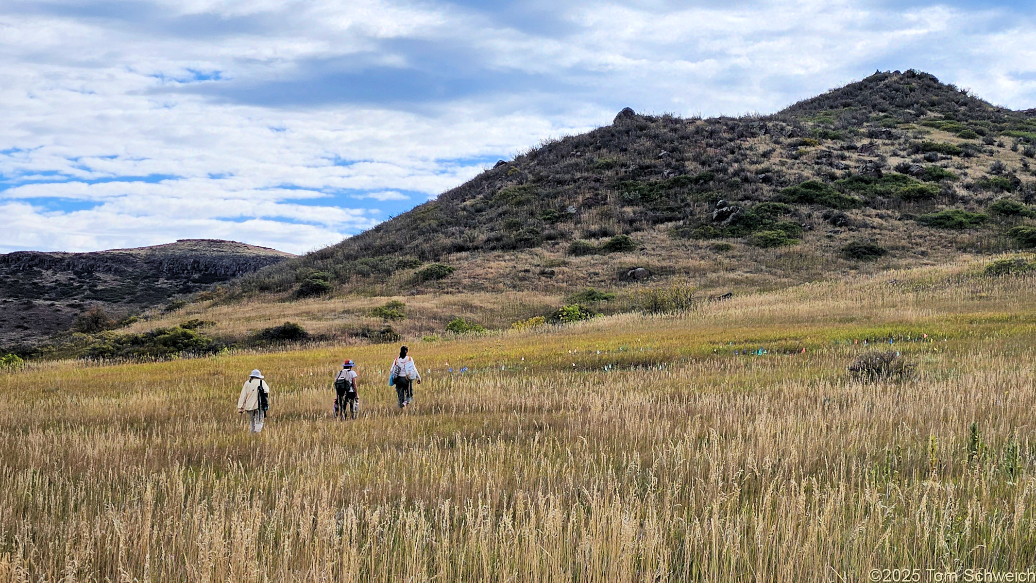 Colorado, Jefferson County, Golden, North Table Mountain Park