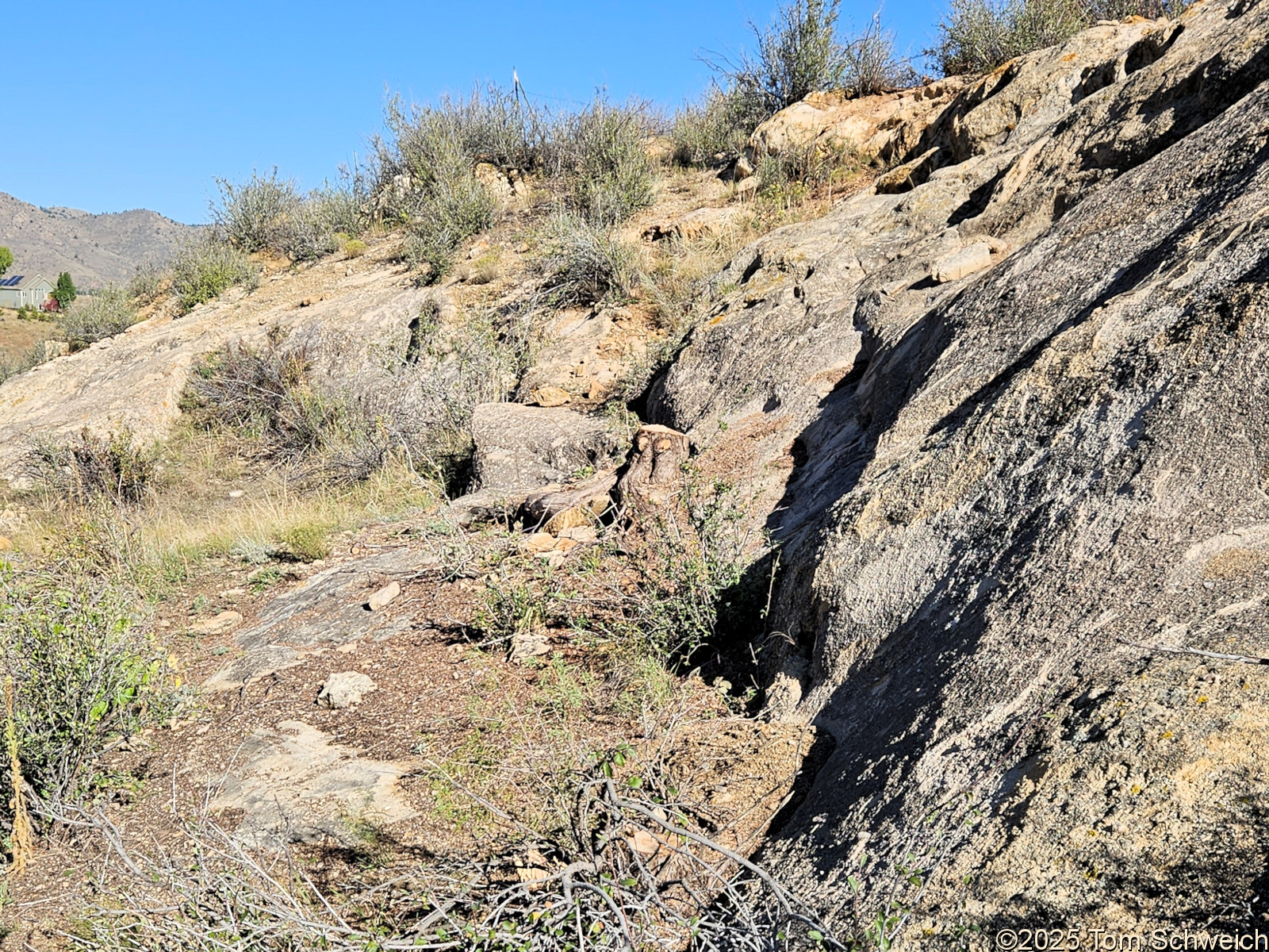 Colorado, Jefferson County, Golden, Wildfire Mitigation