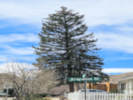 Full Size Image