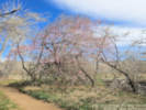 Full Size Image