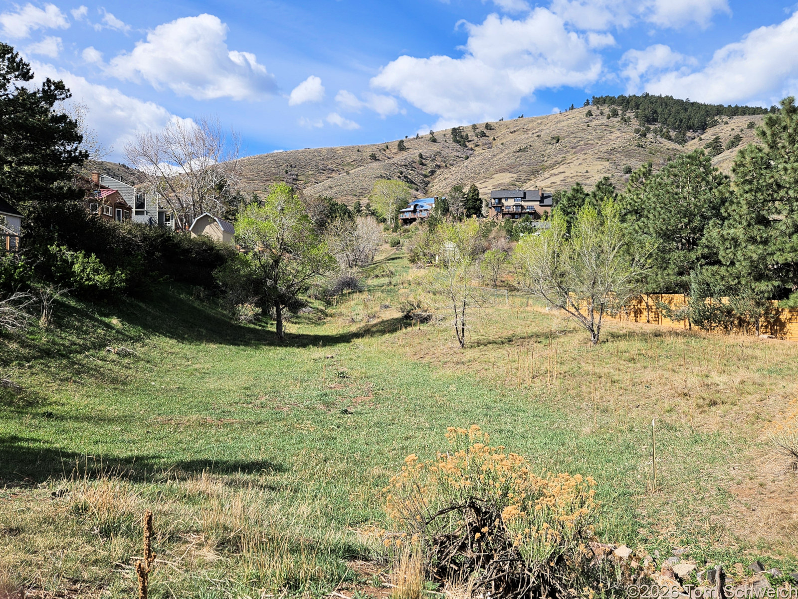 Colorado, Jefferson County, Golden, Heritage Dells Open Space