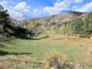 Full Size Image