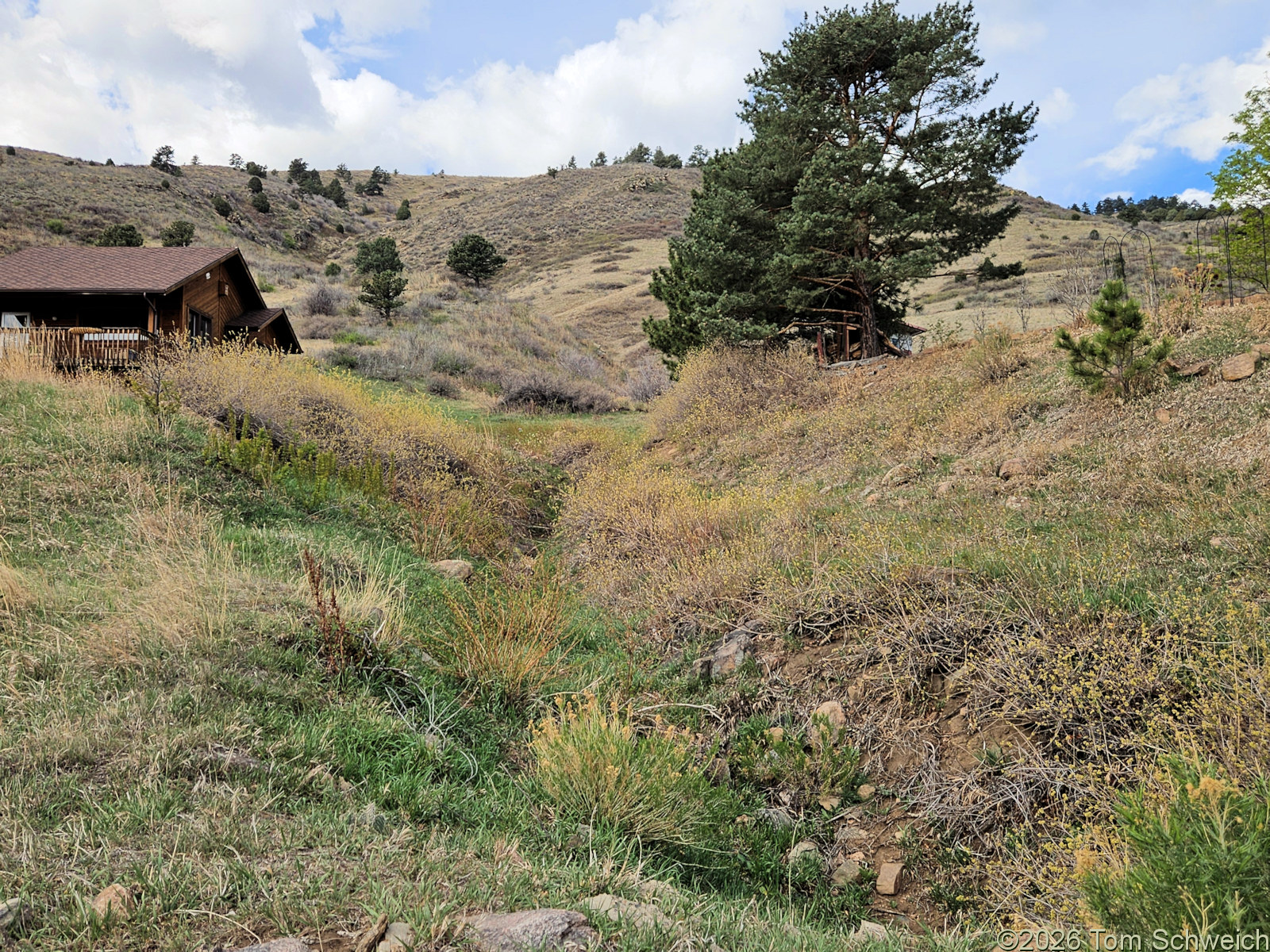 Colorado, Jefferson County, Golden, Heritage Dells Open Space