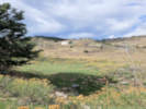Full Size Image