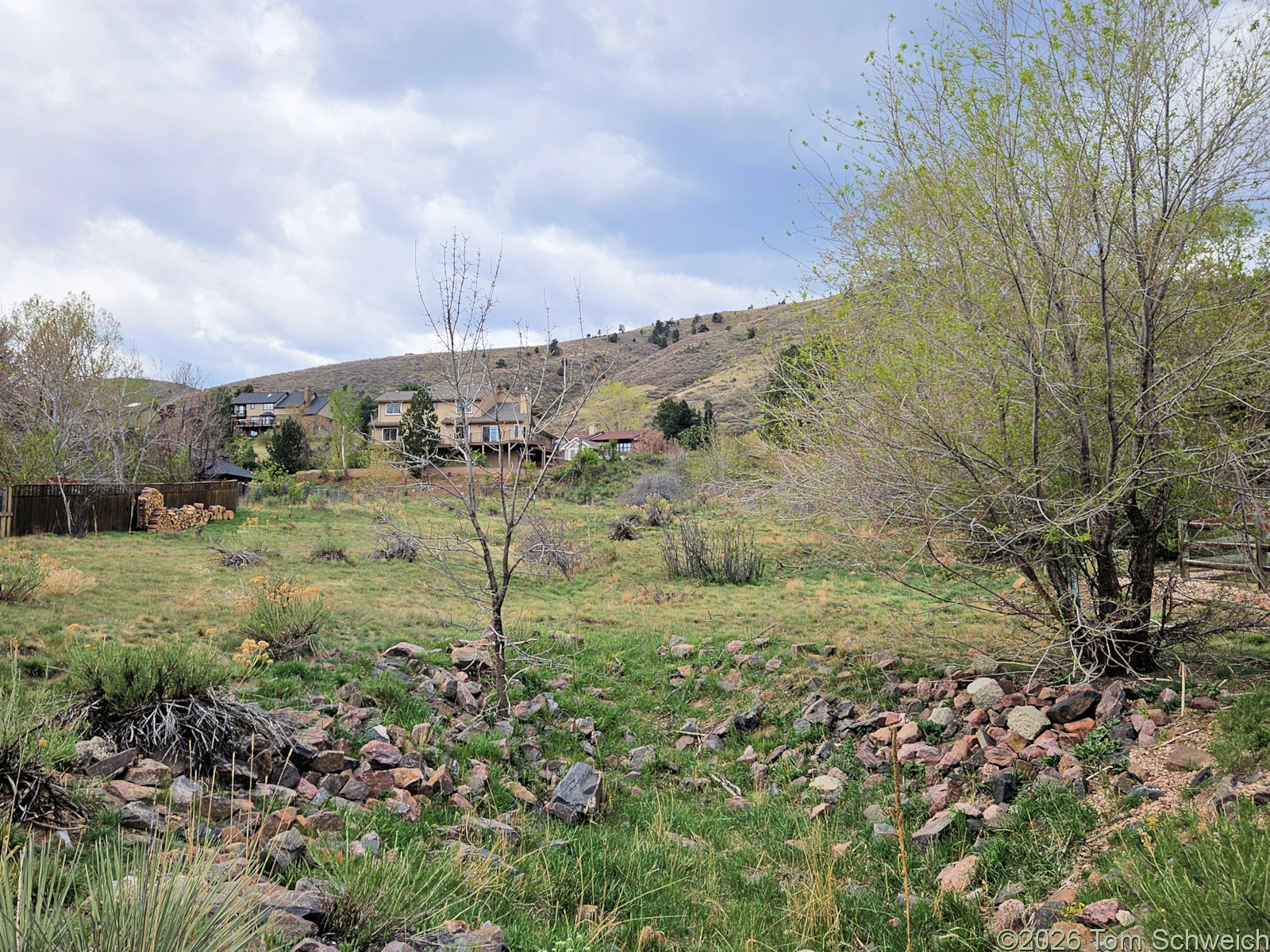 Colorado, Jefferson County, Golden, Heritage Dells Open Space