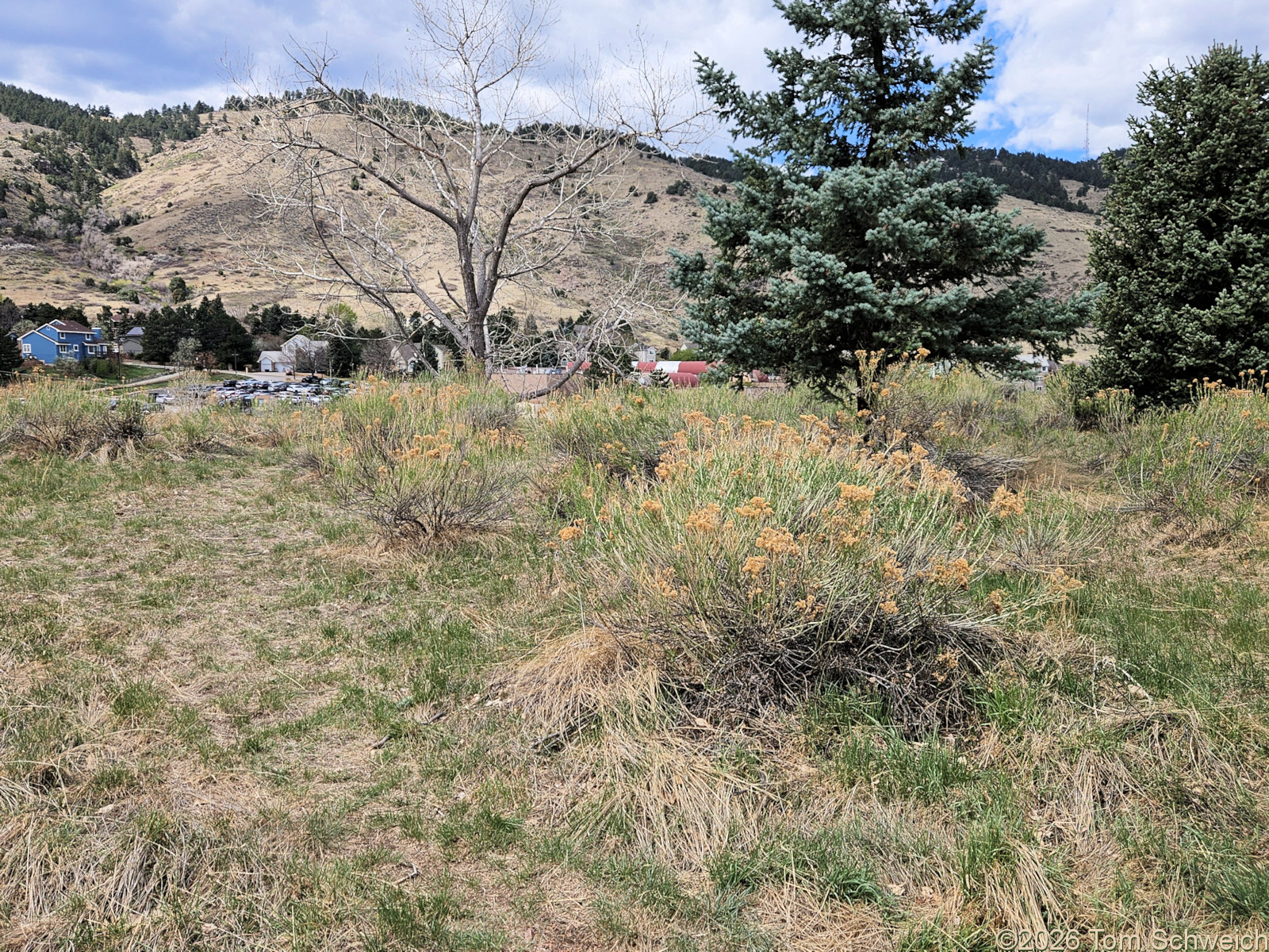 Colorado, Jefferson County, Golden, Kinney Run Open Space