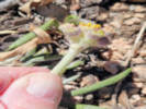 Full Size Image