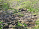 Full Size Image