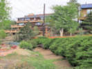 Full Size Image