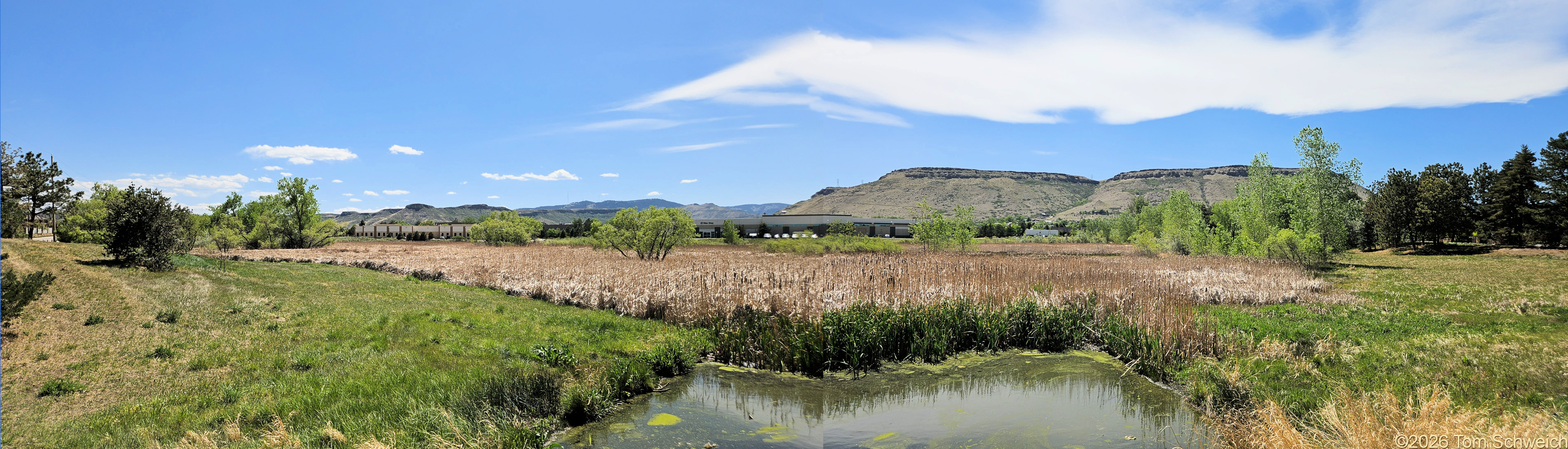 Colorado, Jefferson County, Golden, Coors Tech Wetland Open Space